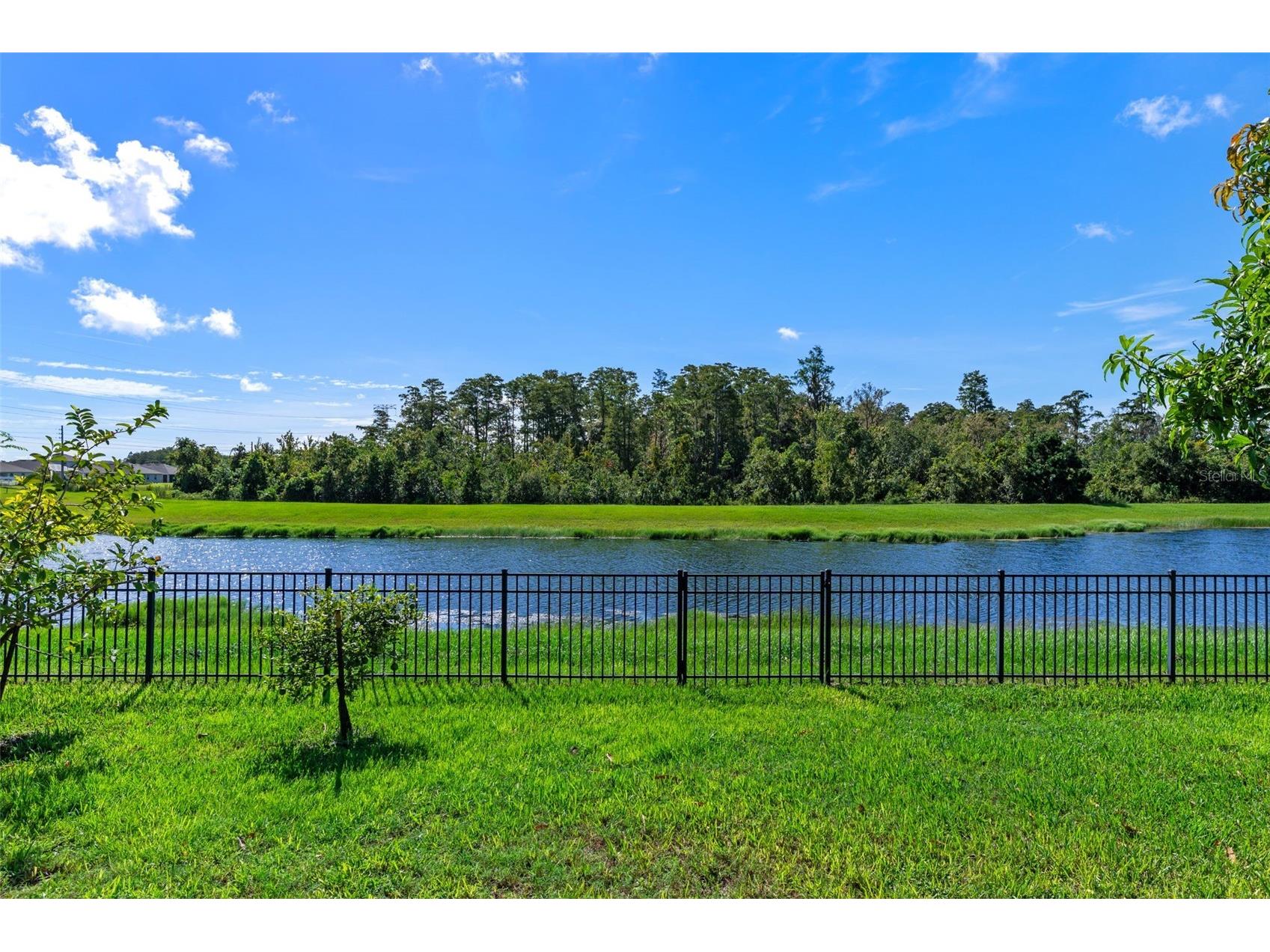 12137 Sumter Drive Orlando FL 32824 O6382861 image37