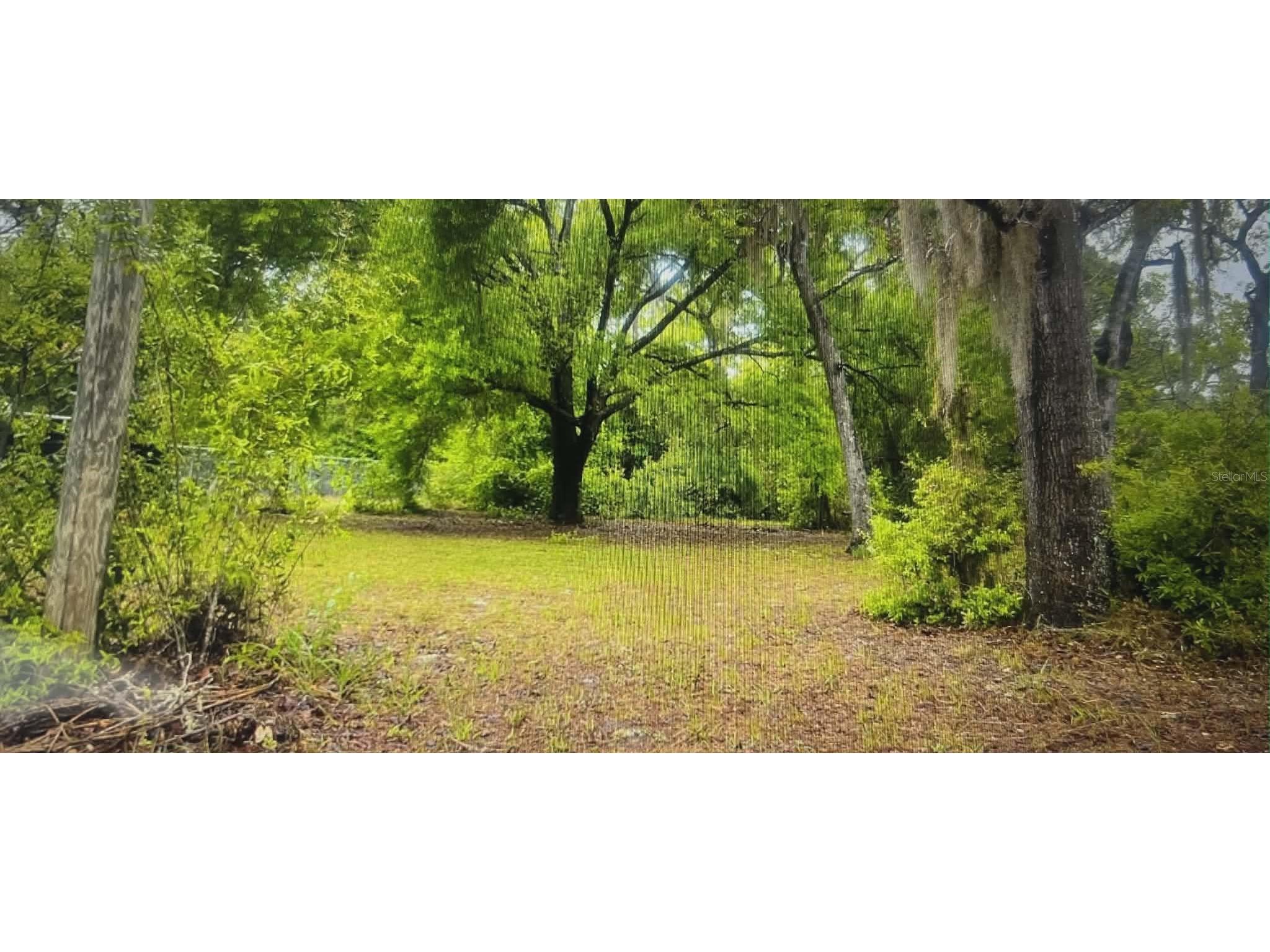 12139 Rutherford Lane Hudson FL 34669 W7882812 image1