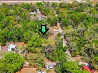 12139 Rutherford Lane Hudson FL 34669 W7882812 image2