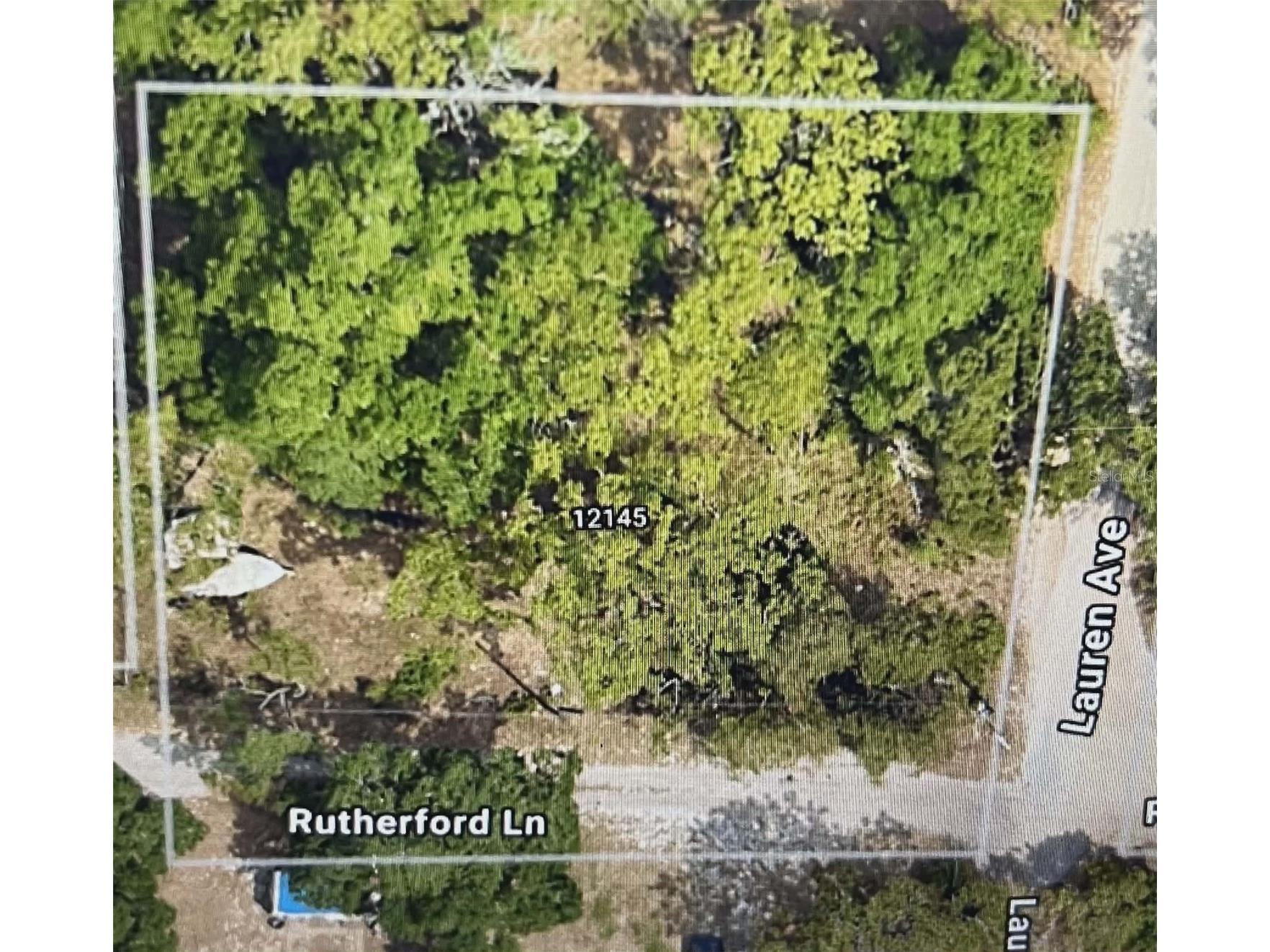 12139 Rutherford Lane Hudson FL 34669 W7882812 image3