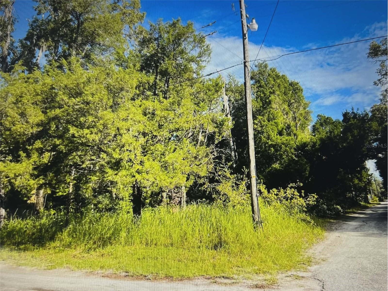 12139 Rutherford Lane Hudson FL 34669 W7882812 image4