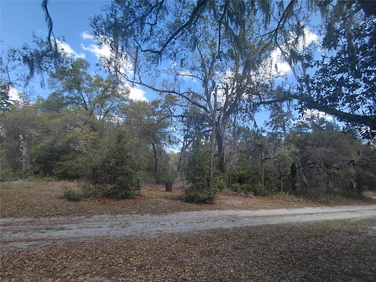 12139 Rutherford Lane Hudson FL 34669 W7882812 image5