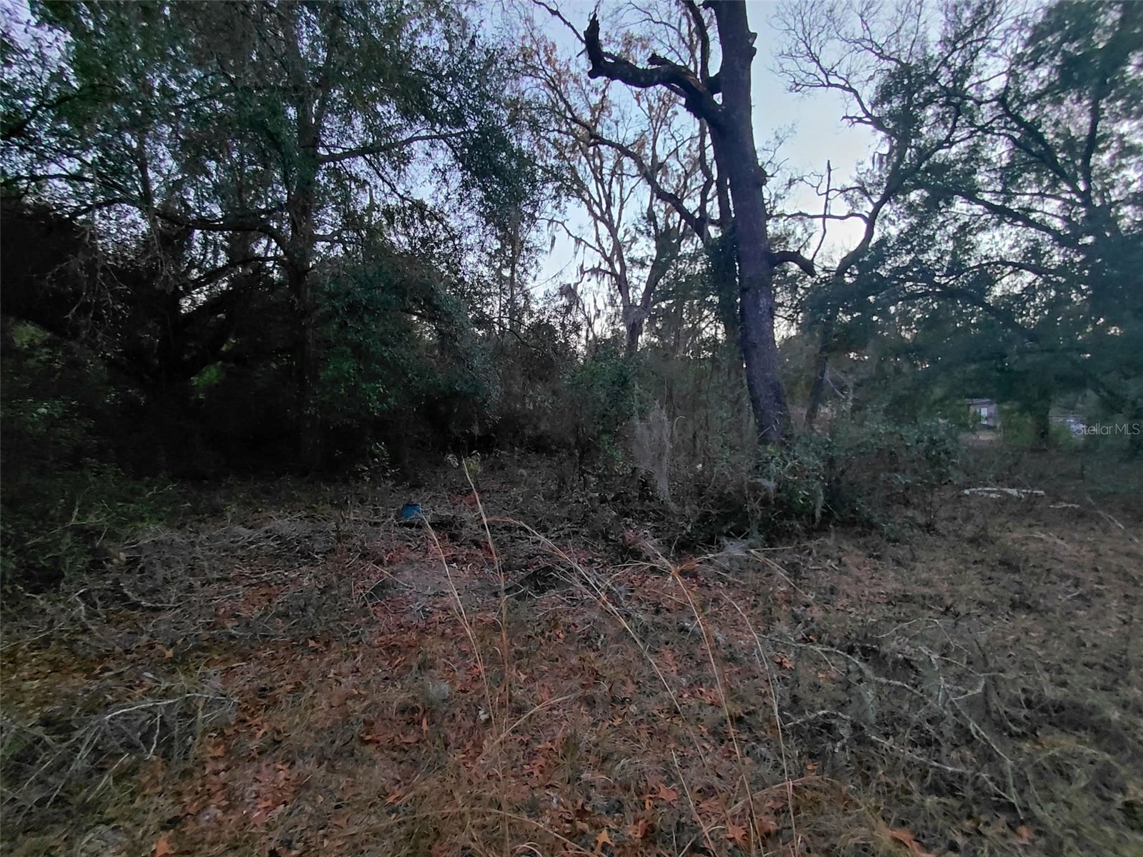 12139 Rutherford Lane Hudson FL 34669 W7882812 image6