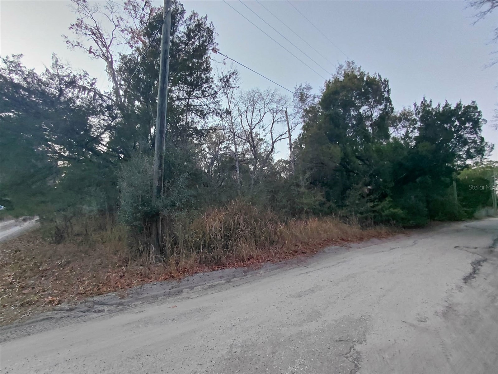 12139 Rutherford Lane Hudson FL 34669 W7882812 image7