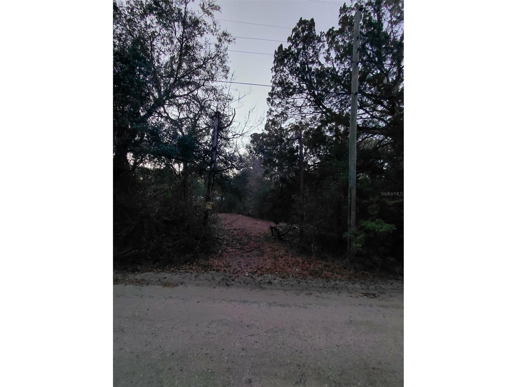 12139 Rutherford Lane Hudson FL 34669 W7882812 image9