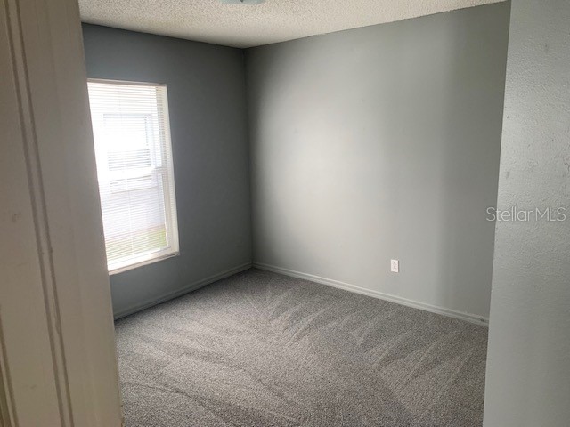 1214 Bloom Hill Avenue Valrico FL 33596 TB8429181 image11