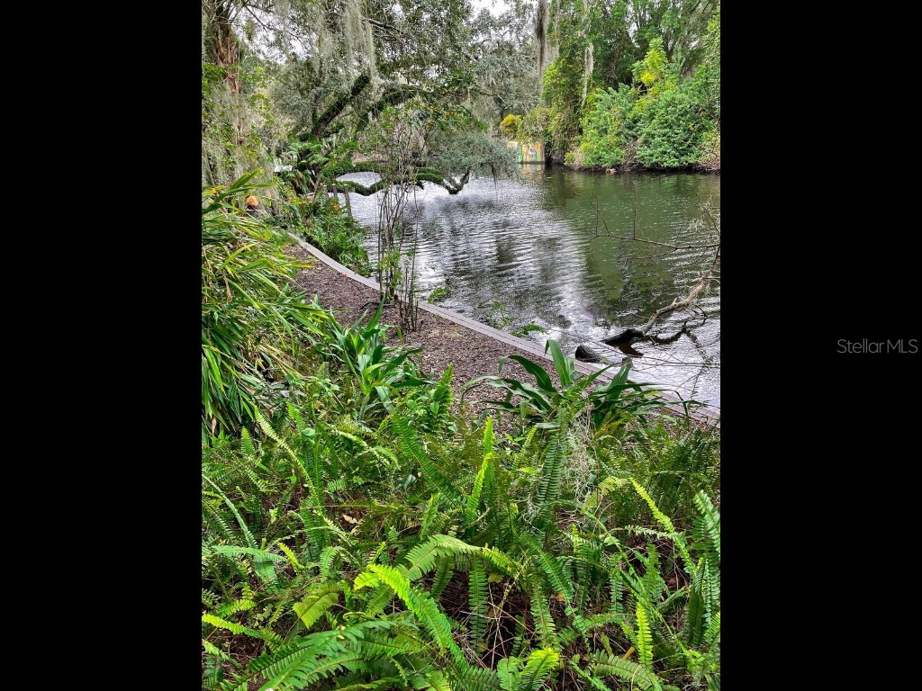 1214 E Park Circle Tampa FL 33604 - HILLSBOROUGH RIVER T3491408 image1