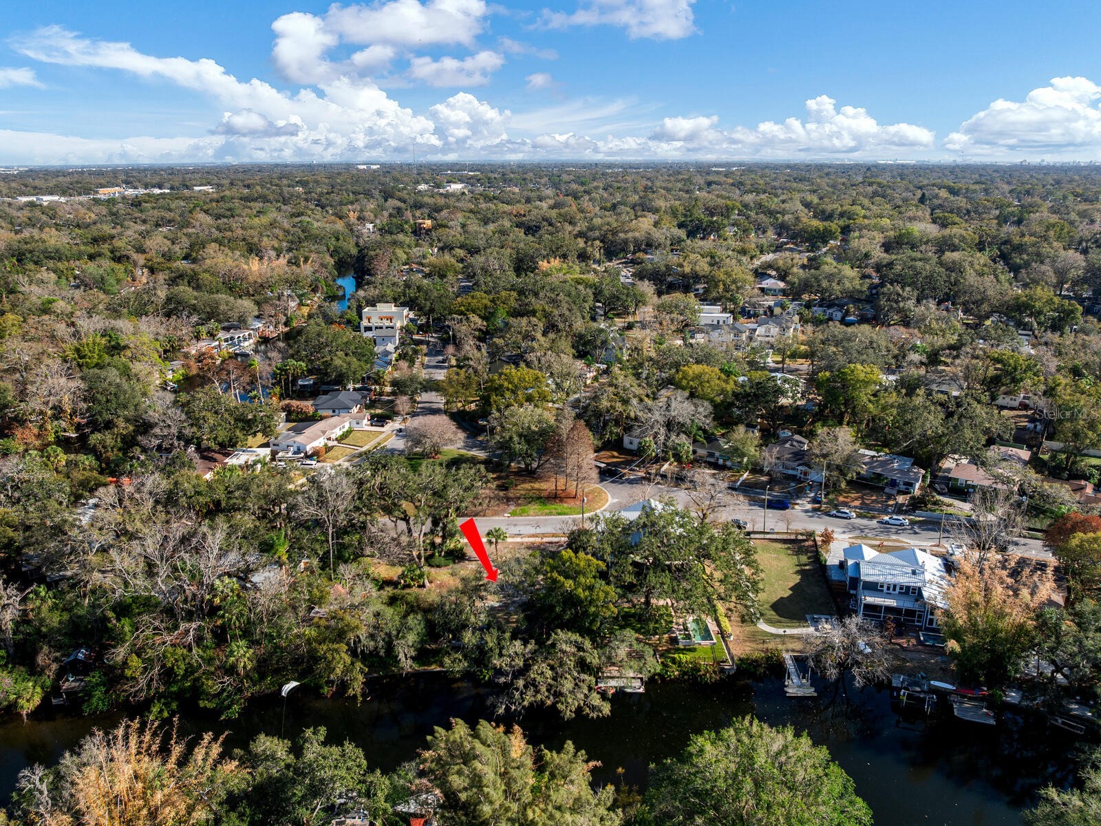 1214 E Park Circle Tampa FL 33604 - HILLSBOROUGH RIVER TB8477180 image10