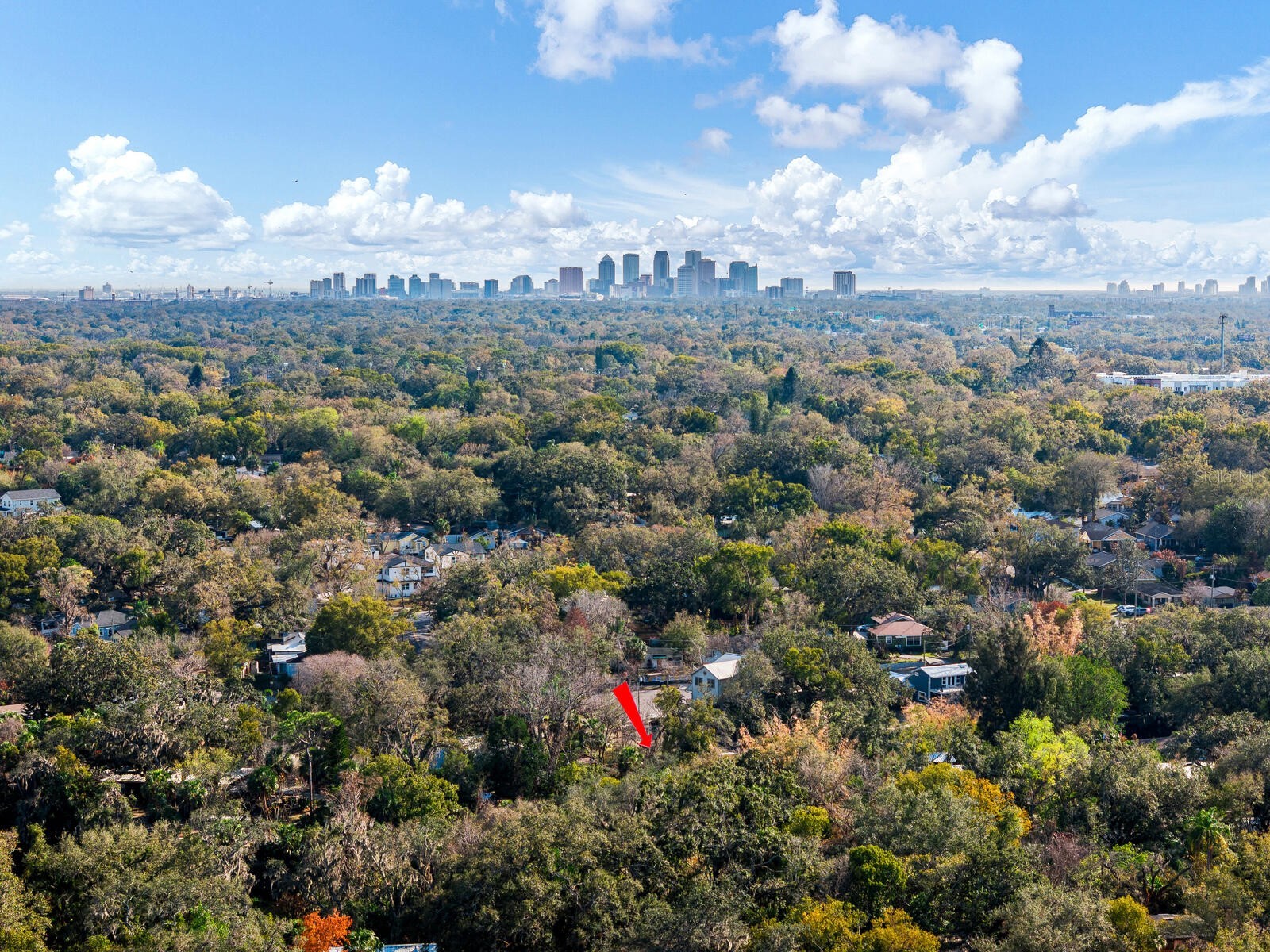 1214 E Park Circle Tampa FL 33604 - HILLSBOROUGH RIVER TB8477180 image13