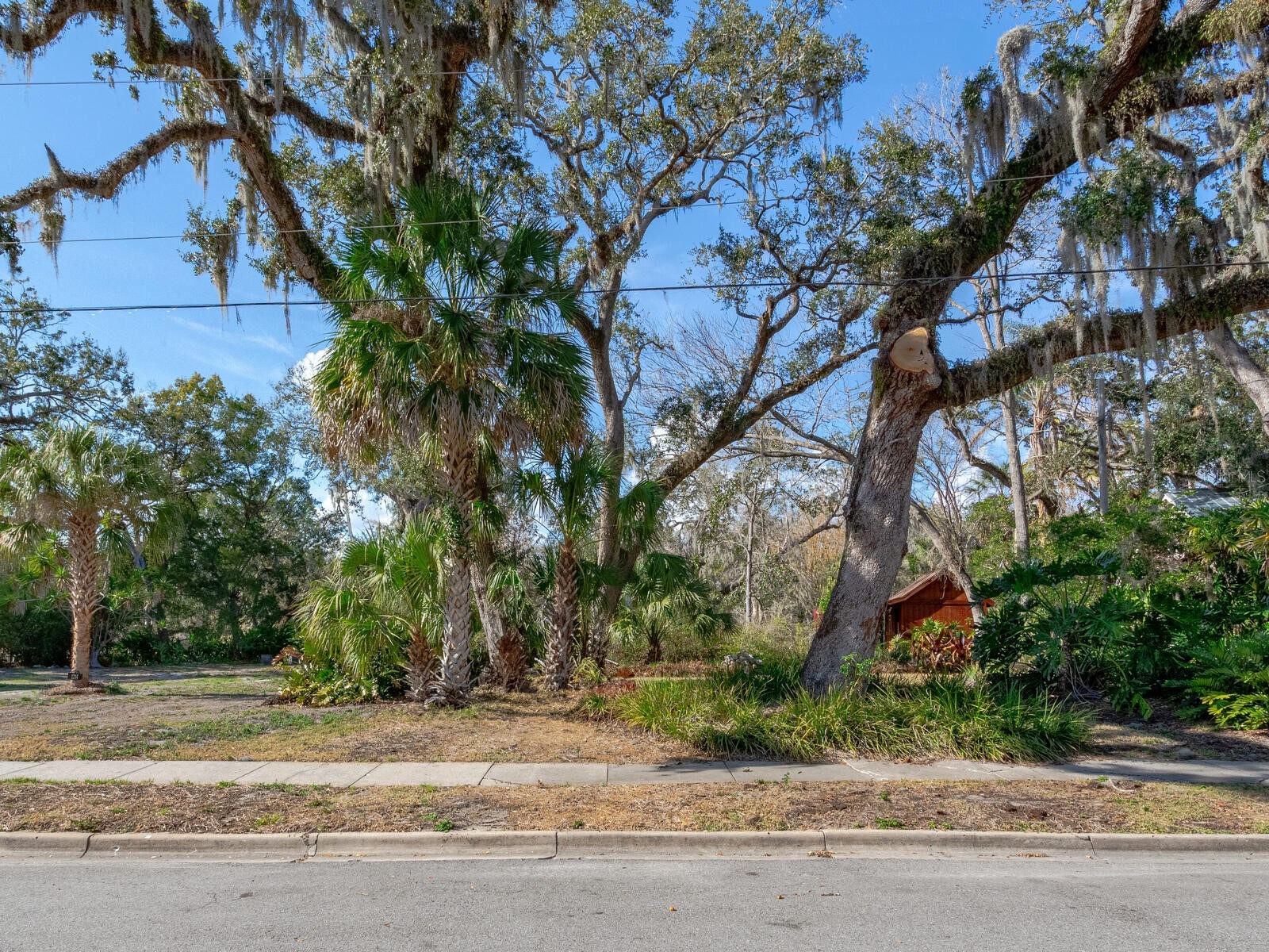 1214 E Park Circle Tampa FL 33604 - HILLSBOROUGH RIVER TB8477180 image14