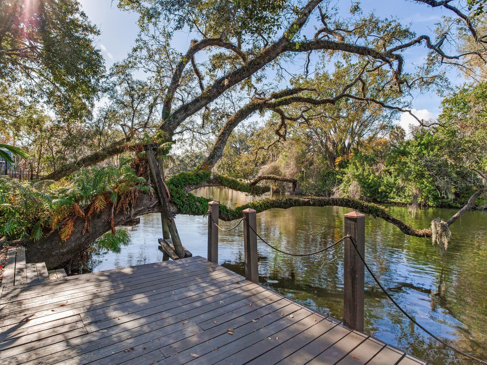 1214 E Park Circle Tampa FL 33604 - HILLSBOROUGH RIVER TB8477180 image26