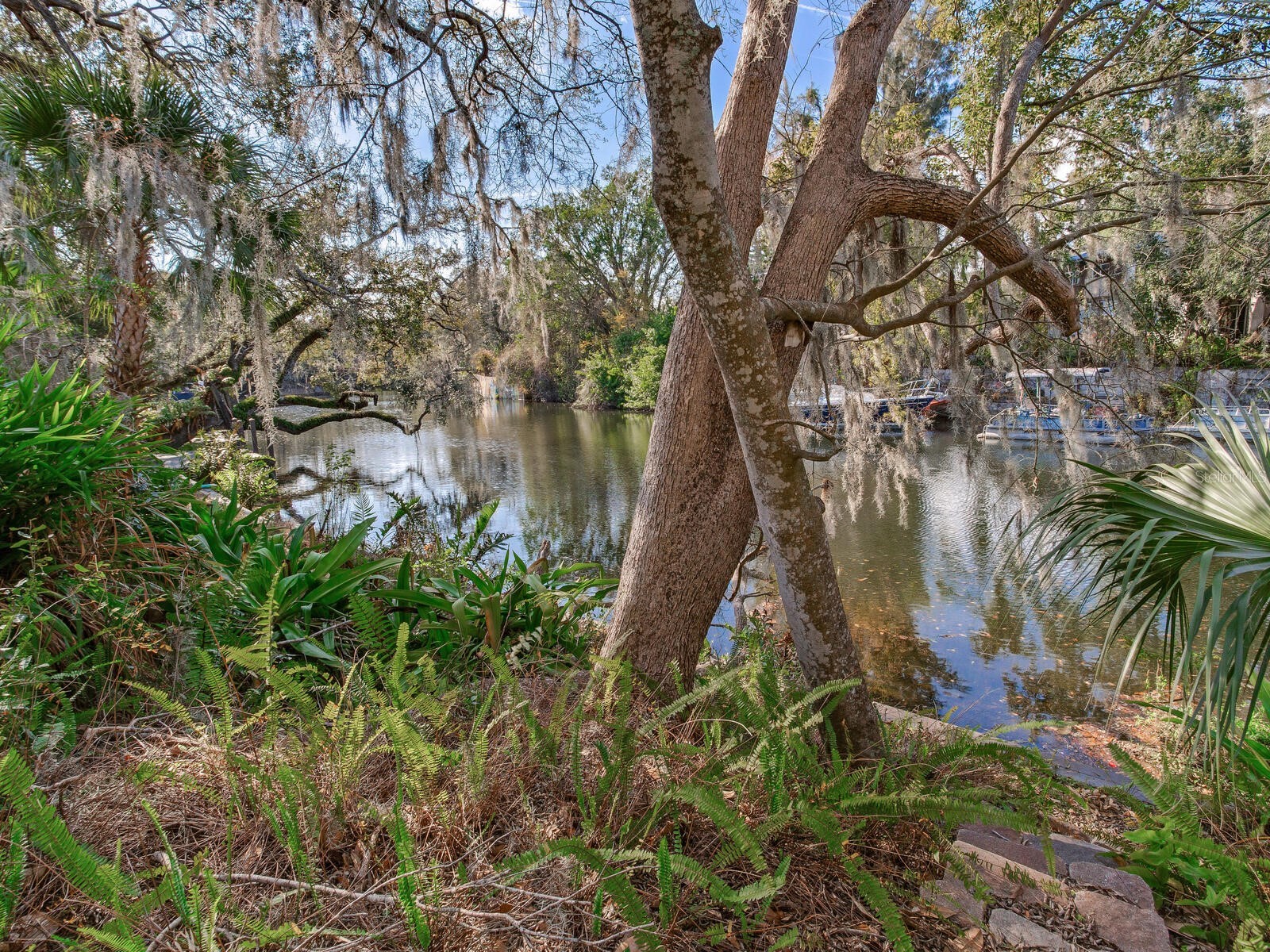 1214 E Park Circle Tampa FL 33604 - HILLSBOROUGH RIVER TB8477180 image29