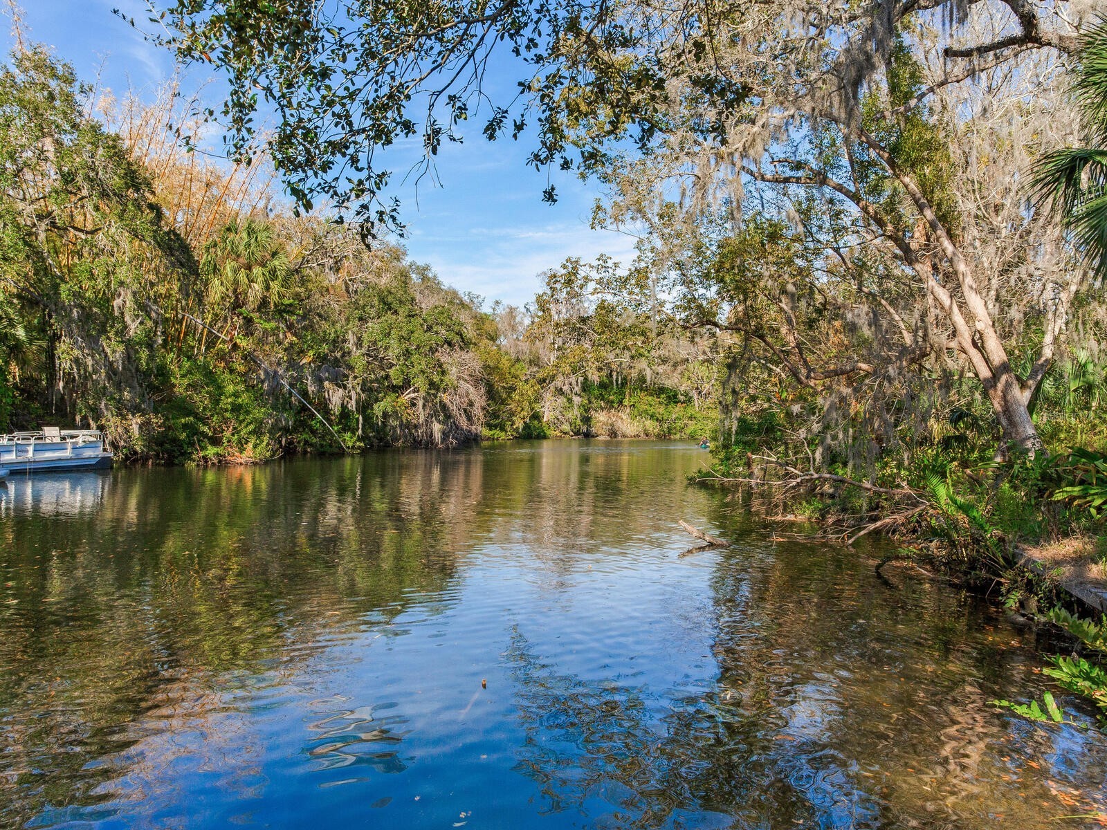 1214 E Park Circle Tampa FL 33604 - HILLSBOROUGH RIVER TB8477180 image3