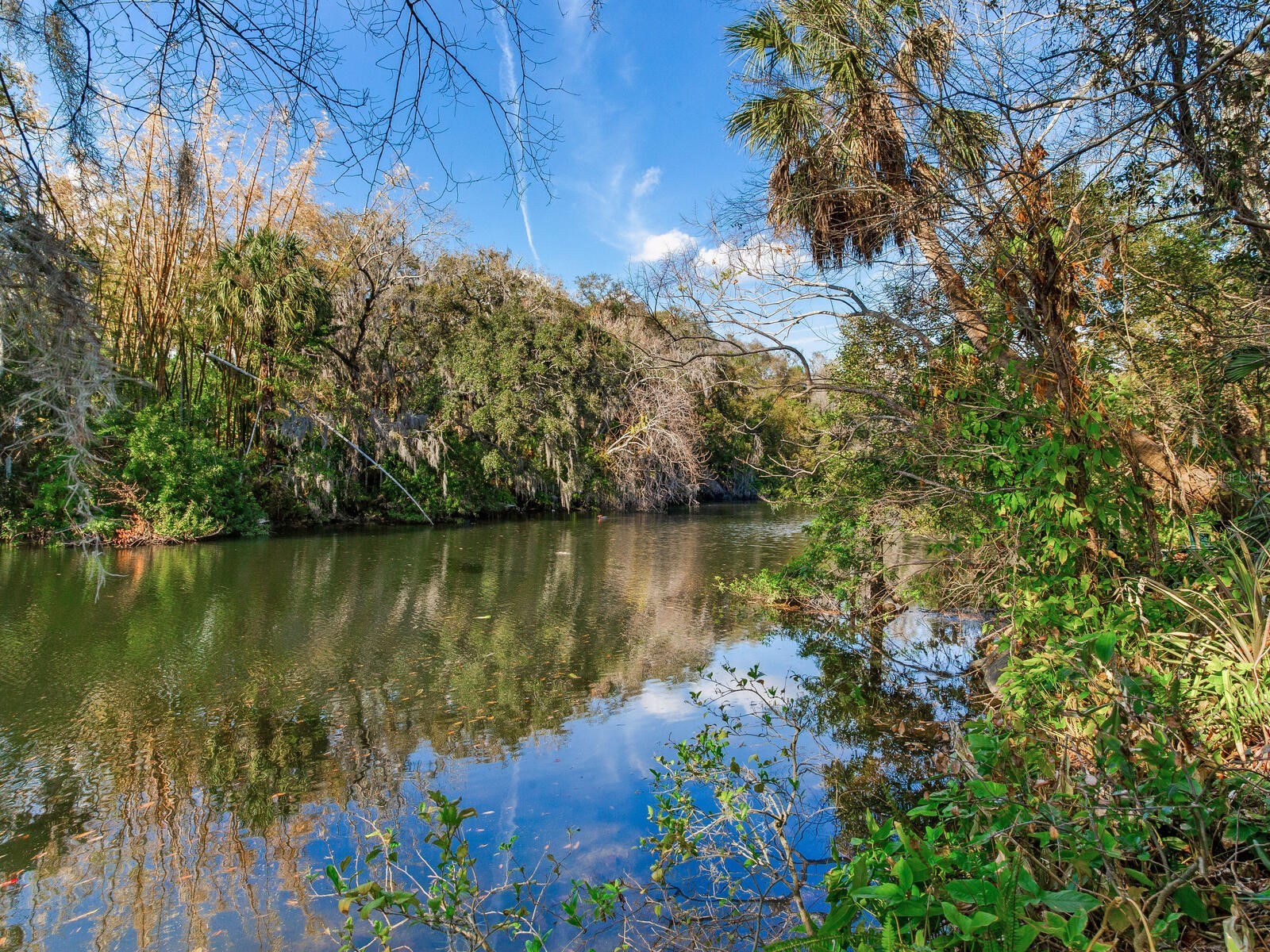 1214 E Park Circle Tampa FL 33604 - HILLSBOROUGH RIVER TB8477180 image30