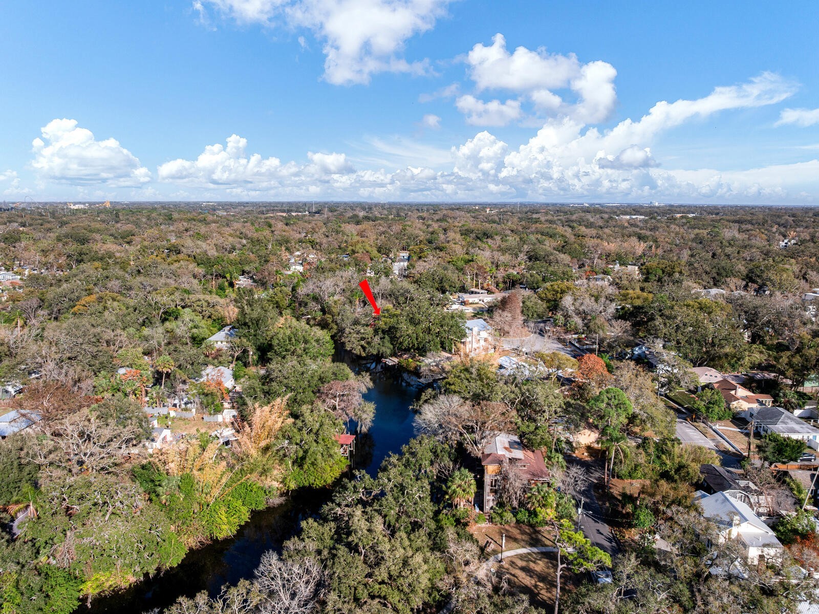 1214 E Park Circle Tampa FL 33604 - HILLSBOROUGH RIVER TB8477180 image42