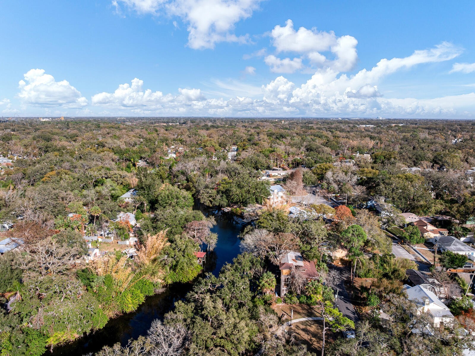 1214 E Park Circle Tampa FL 33604 - HILLSBOROUGH RIVER TB8477180 image43