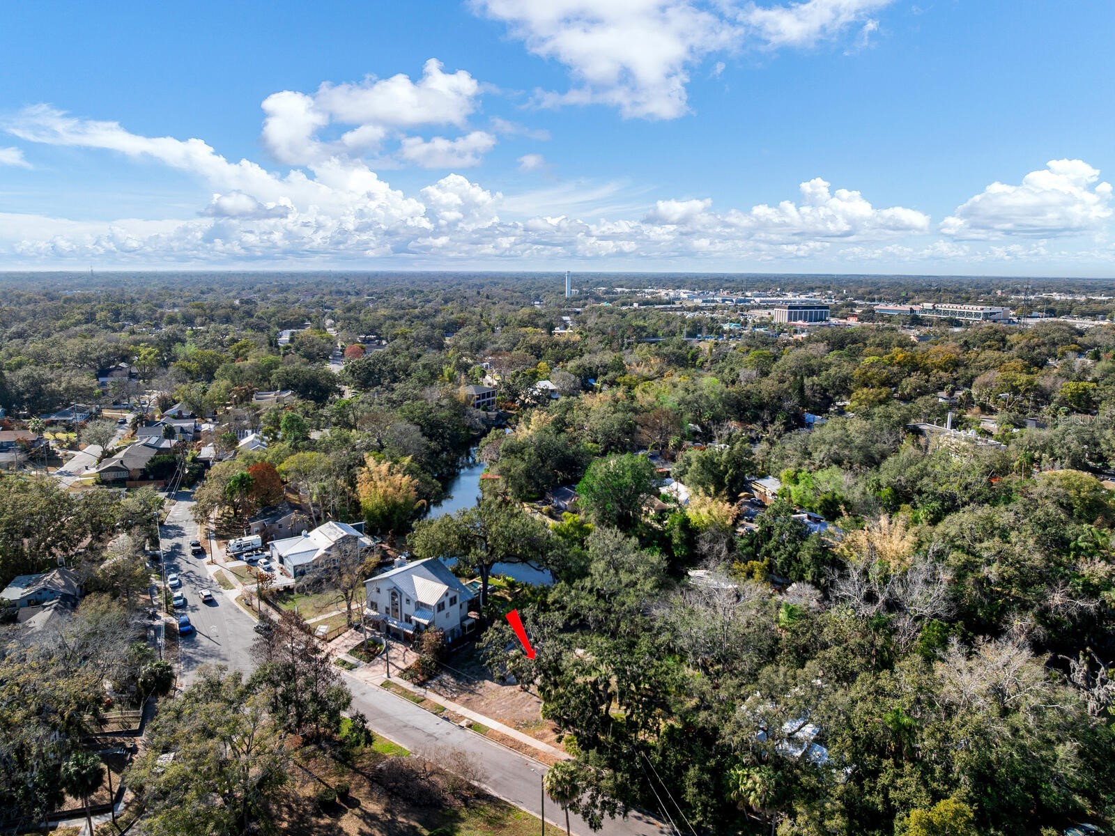 1214 E Park Circle Tampa FL 33604 - HILLSBOROUGH RIVER TB8477180 image44