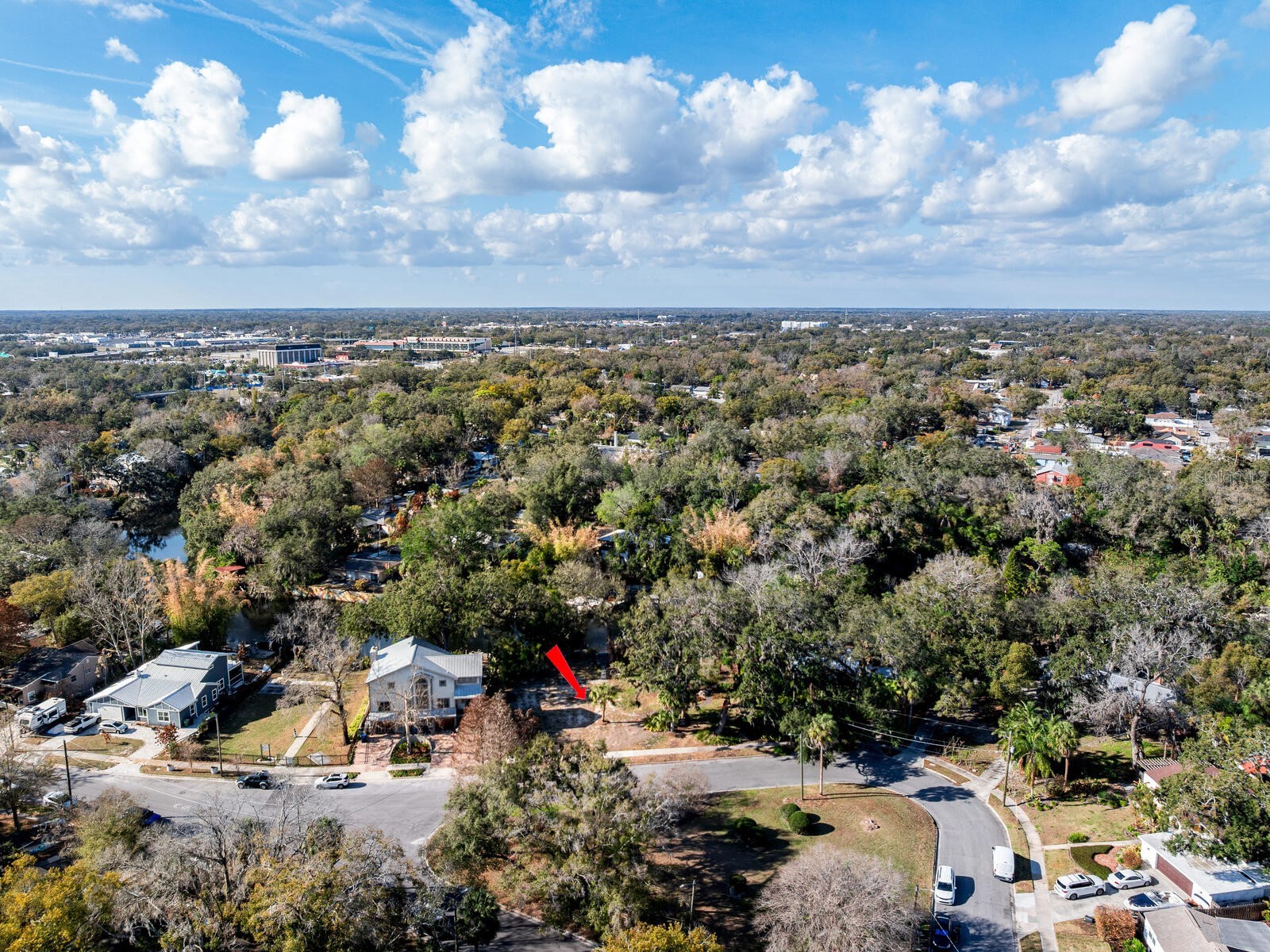 1214 E Park Circle Tampa FL 33604 - HILLSBOROUGH RIVER TB8477180 image46