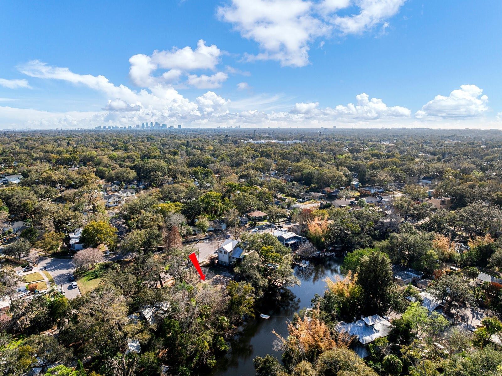 1214 E Park Circle Tampa FL 33604 - HILLSBOROUGH RIVER TB8477180 image50