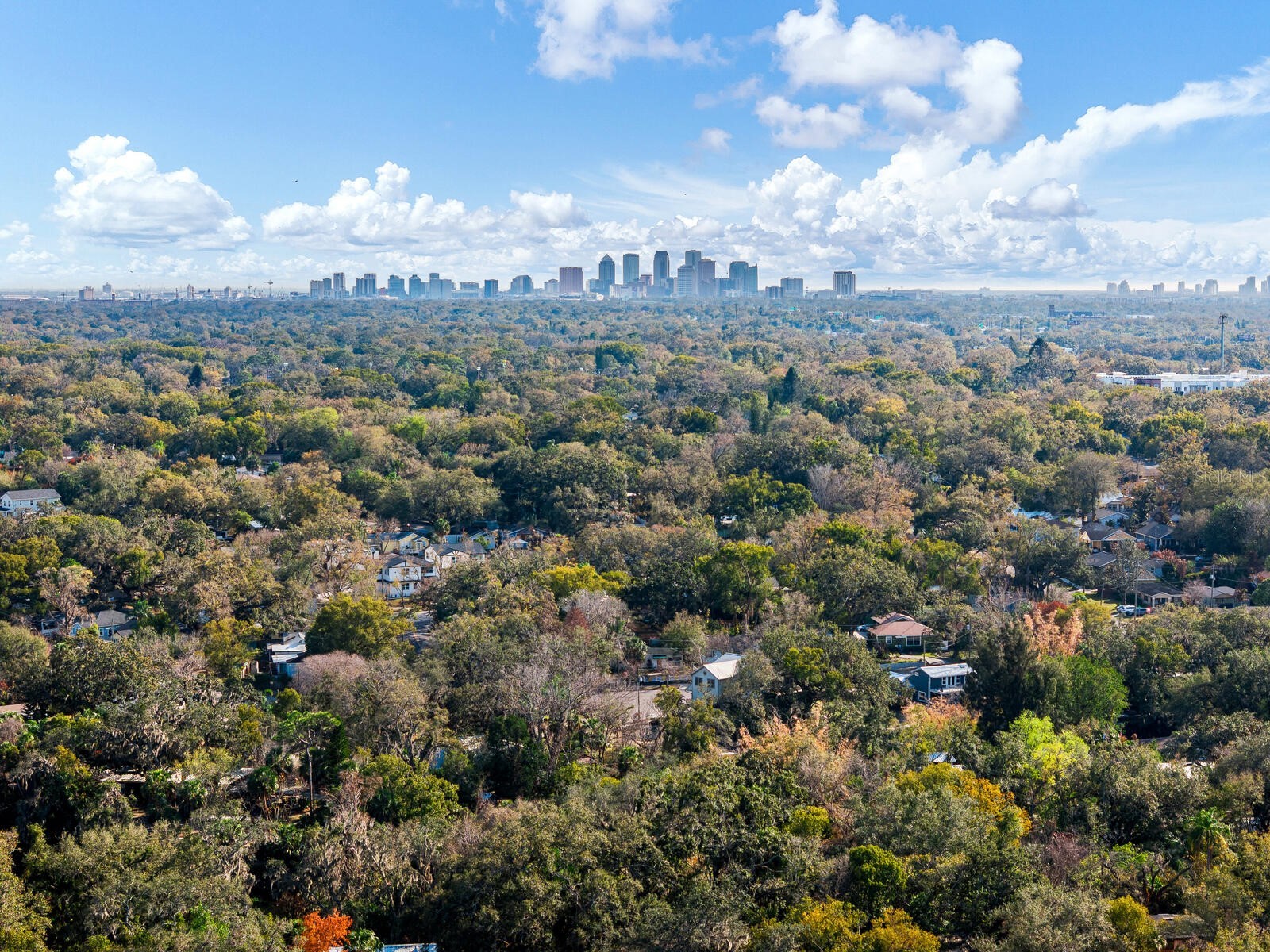 1214 E Park Circle Tampa FL 33604 - HILLSBOROUGH RIVER TB8477180 image52