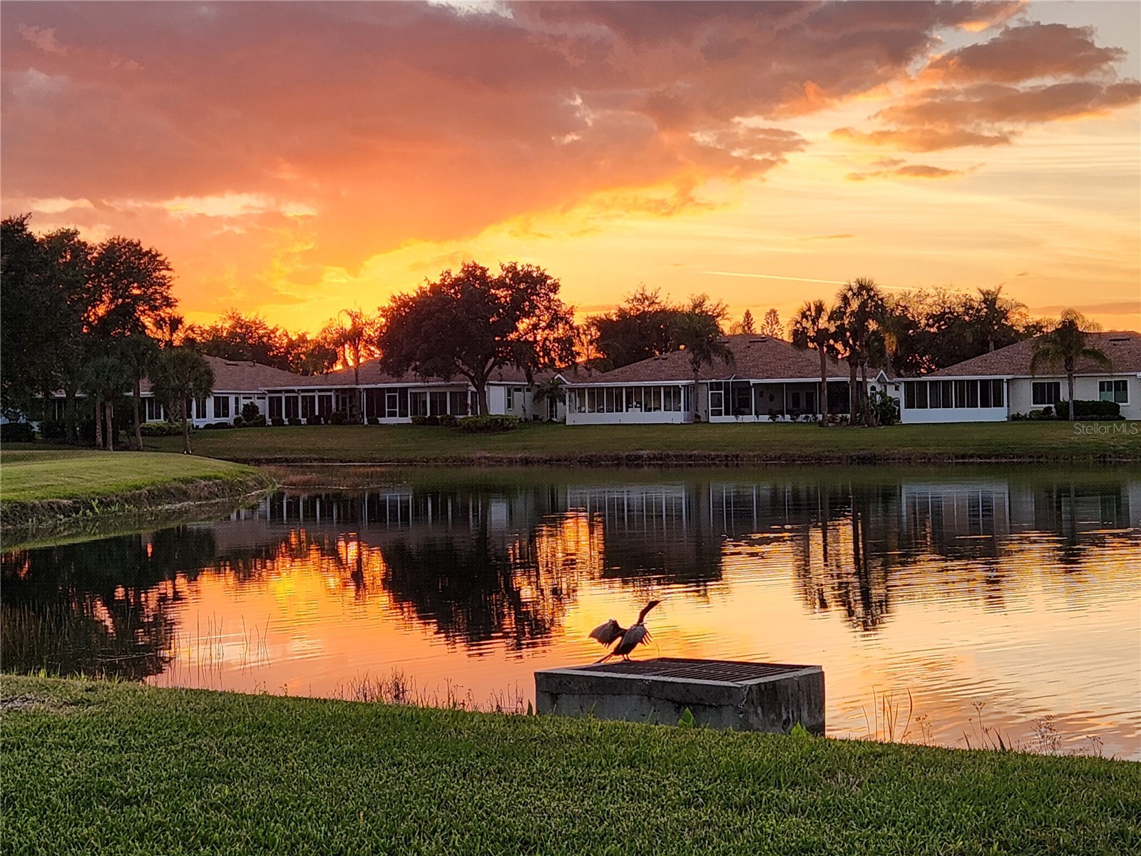 1214 Fairway Greens Drive #FAIR Sun City Center FL 33573 TB8390889 image1