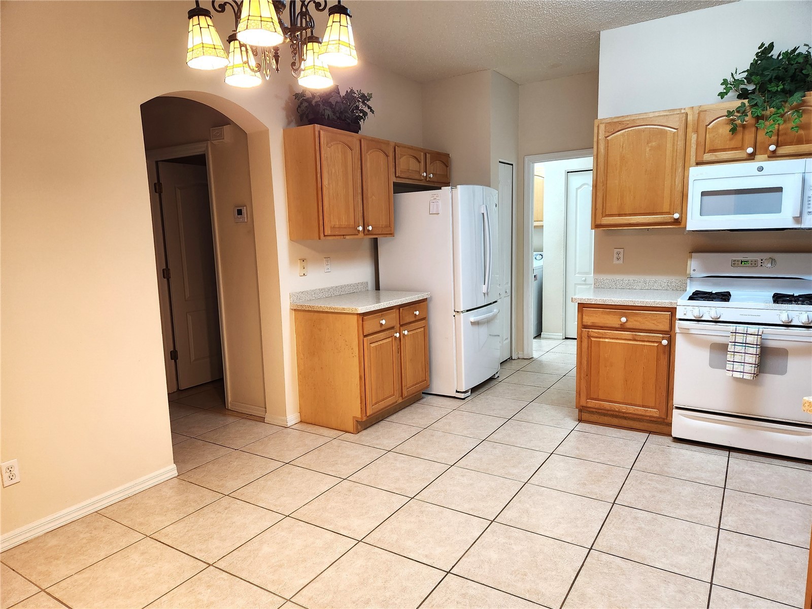 1214 Fairway Greens Drive #FAIR Sun City Center FL 33573 TB8390889 image13