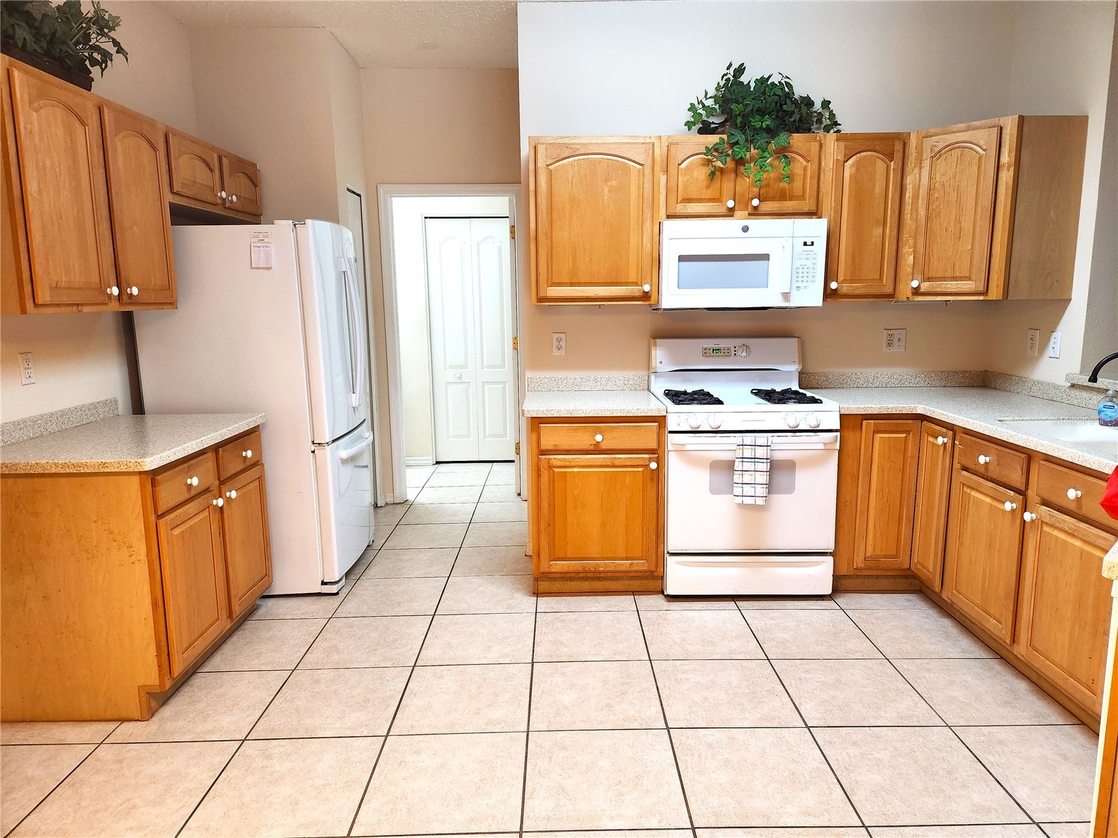 1214 Fairway Greens Drive #FAIR Sun City Center FL 33573 TB8390889 image15