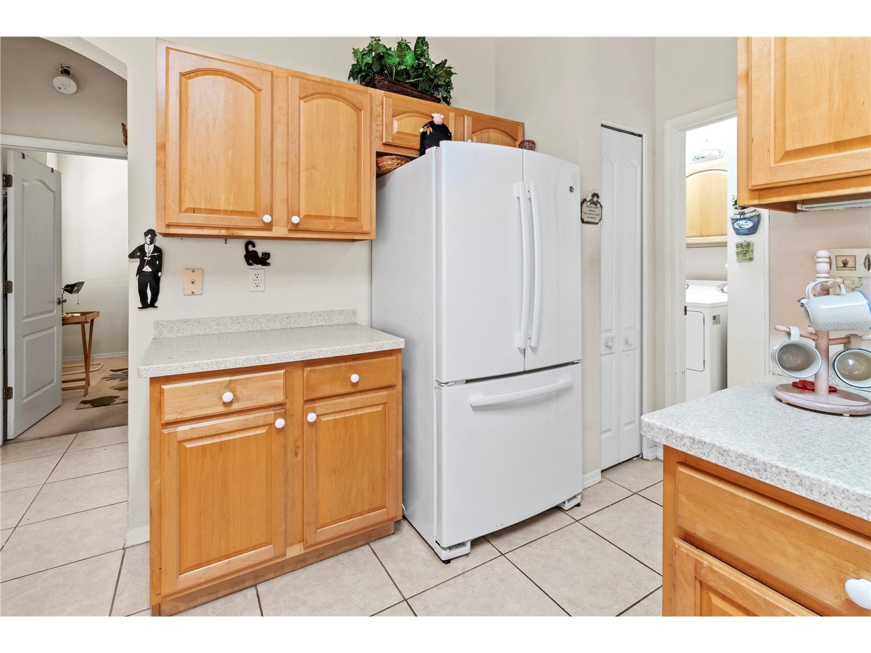 1214 Fairway Greens Drive #FAIR Sun City Center FL 33573 TB8390889 image16