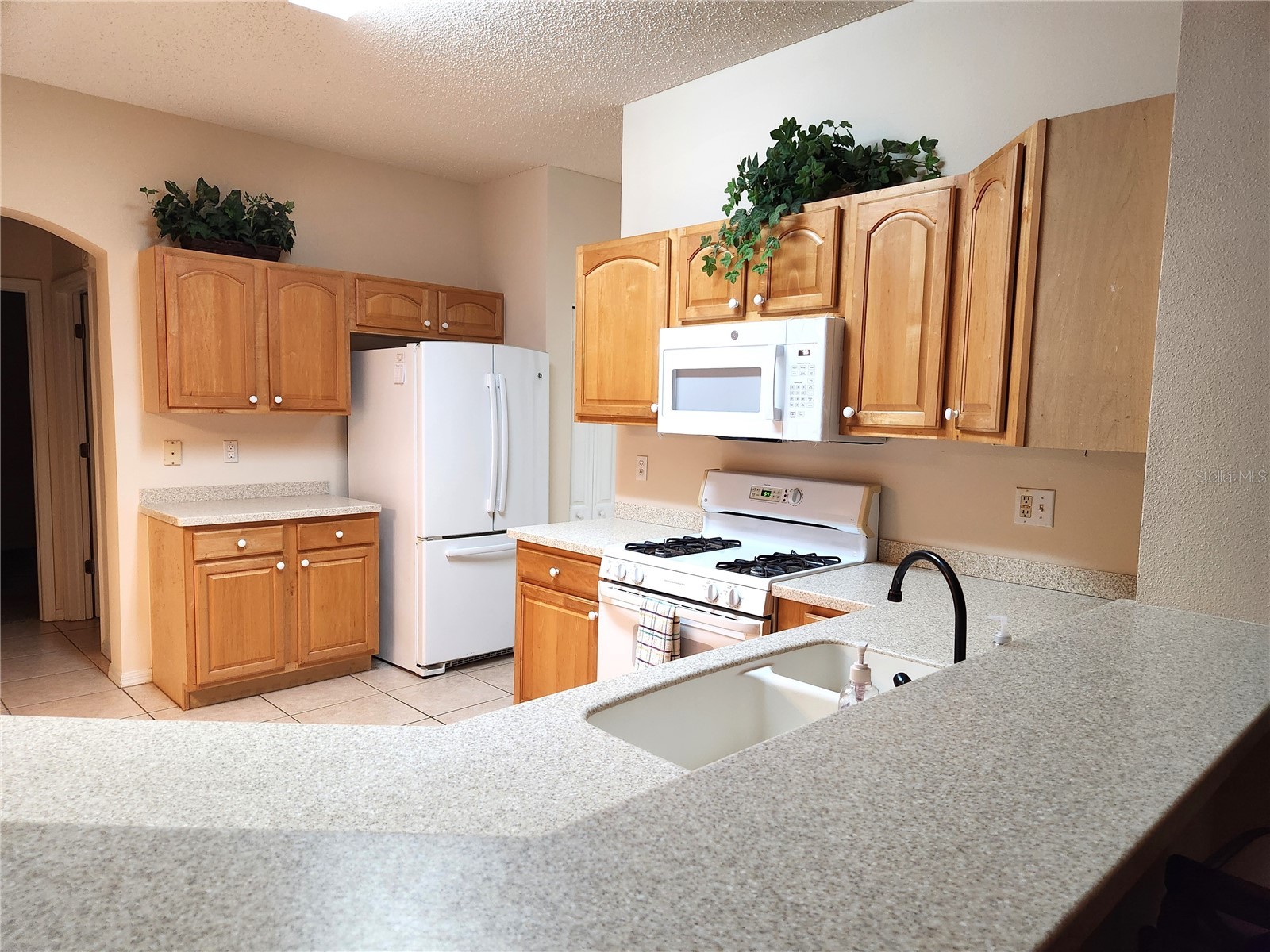 1214 Fairway Greens Drive #FAIR Sun City Center FL 33573 TB8390889 image17