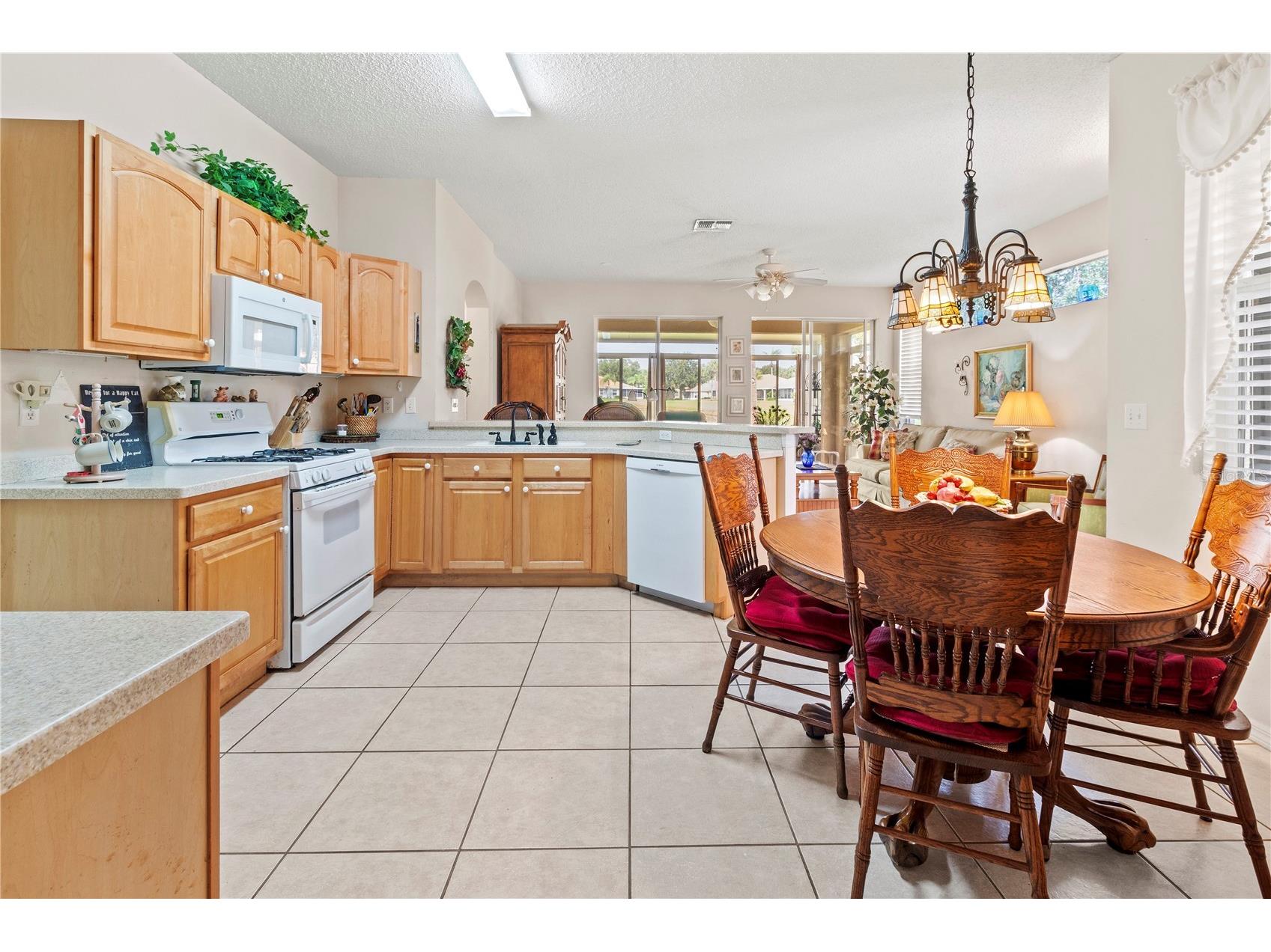 1214 Fairway Greens Drive #FAIR Sun City Center FL 33573 TB8390889 image18