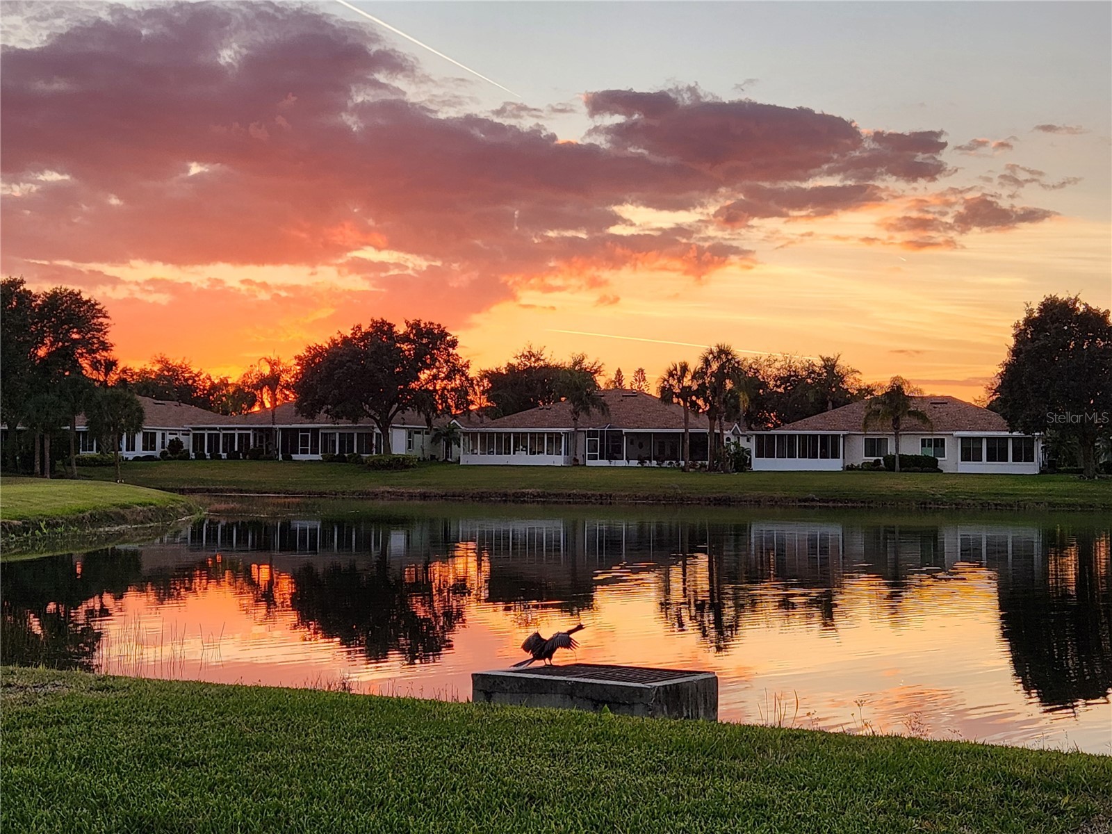 1214 Fairway Greens Drive #FAIR Sun City Center FL 33573 TB8390889 image31