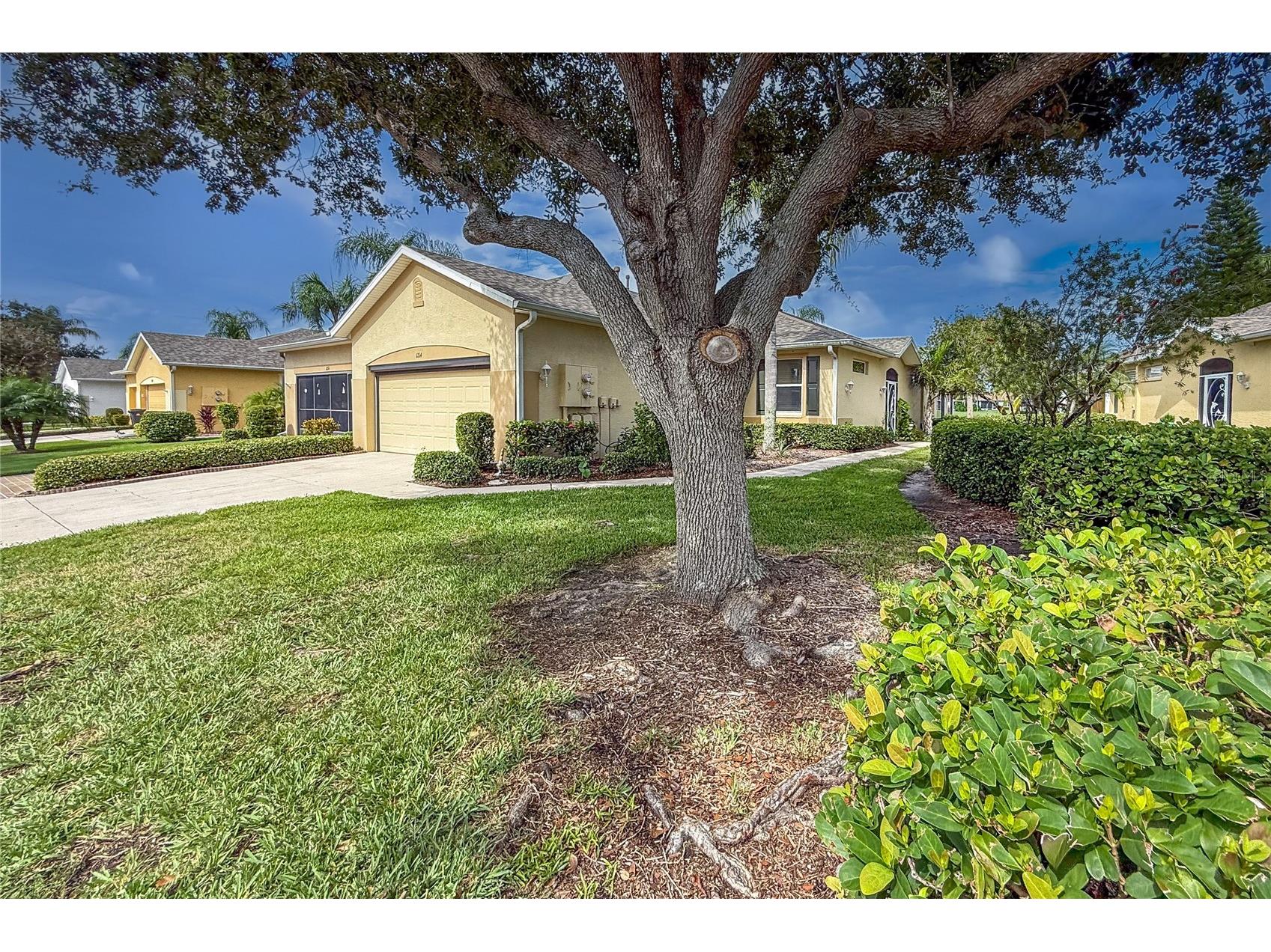 1214 Fairway Greens Drive #FAIR Sun City Center FL 33573 TB8390889 image9