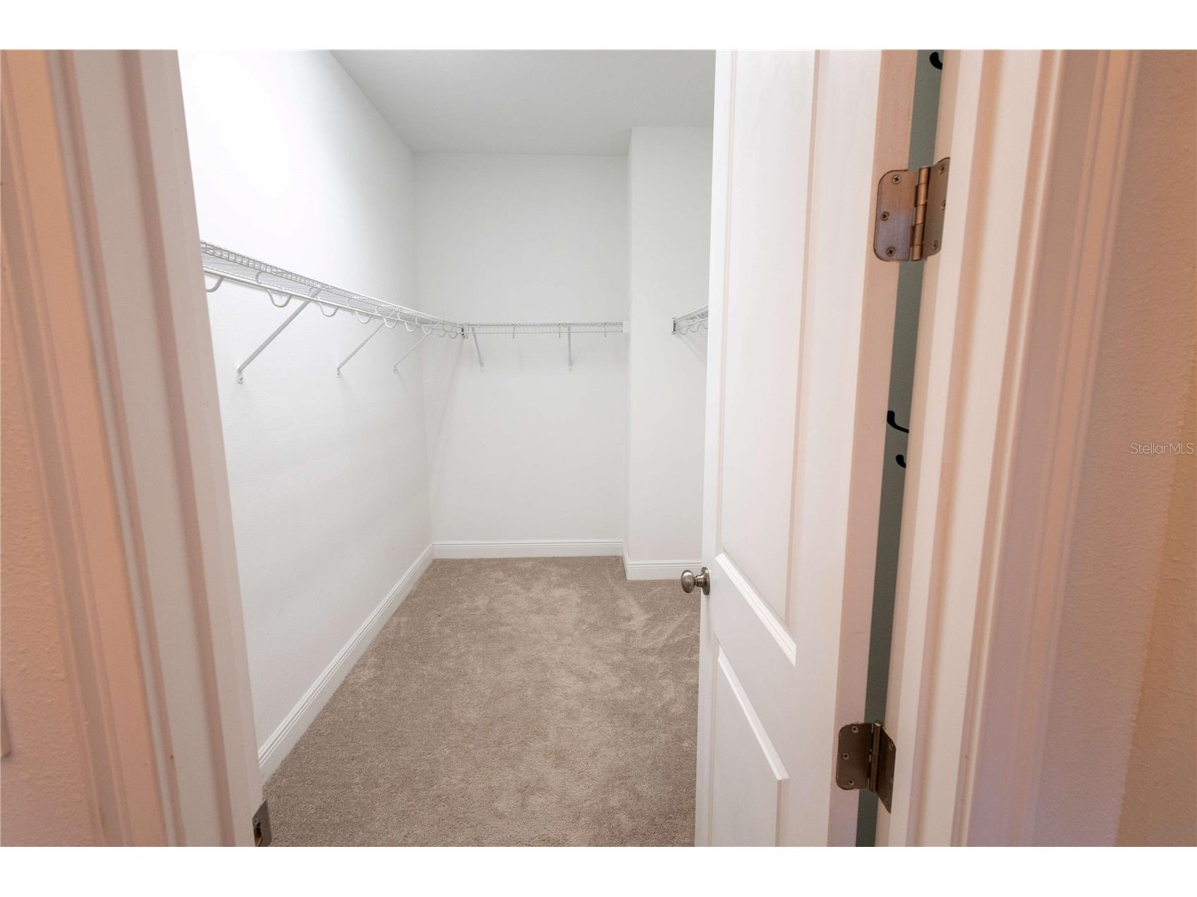 1214 Florablu Drive Seffner FL 33584 W7887502 image29