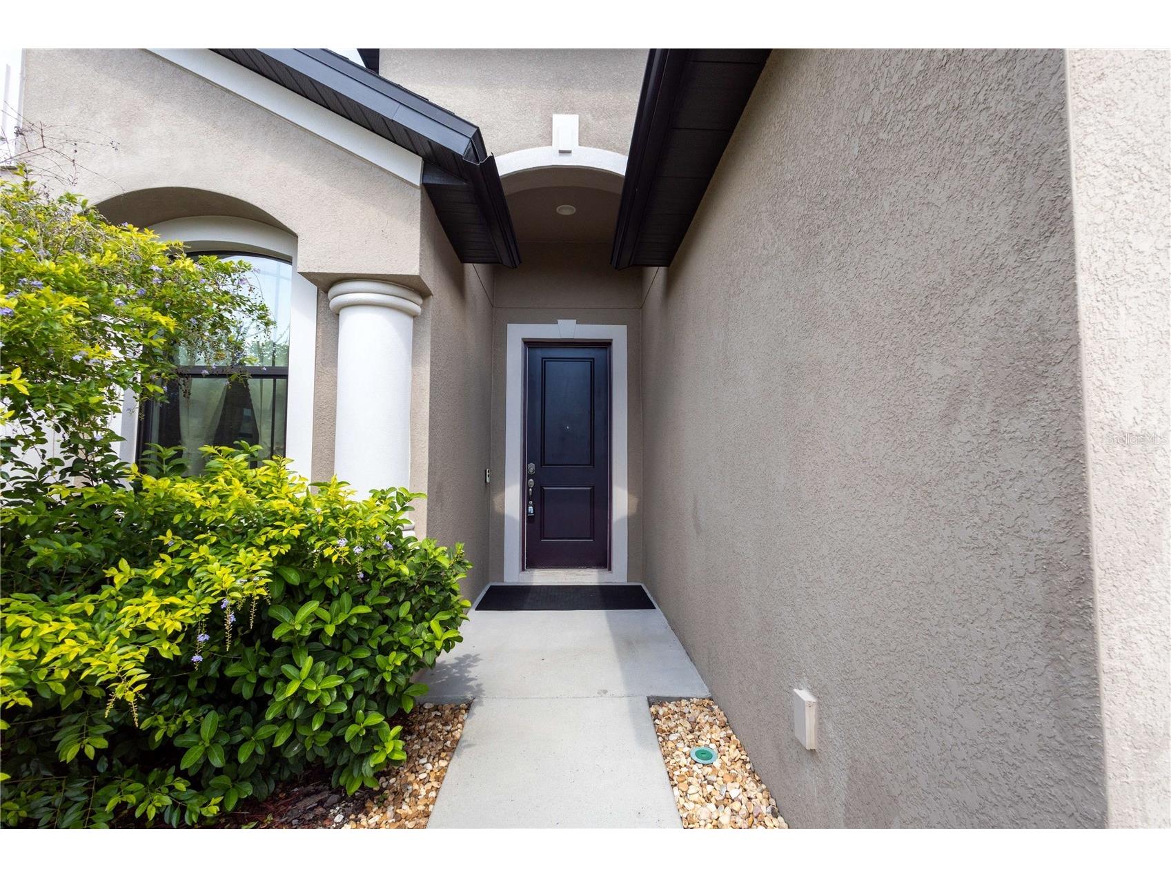1214 Florablu Drive Seffner FL 33584 W7887502 image4