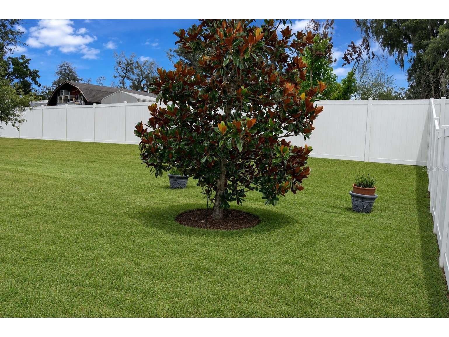 1214 Florablu Drive Seffner FL 33584 W7887502 image52