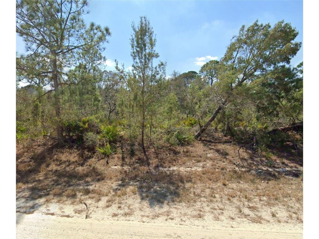 1214 Macaw Avenue Lake Placid FL 33852 O6191461 image1