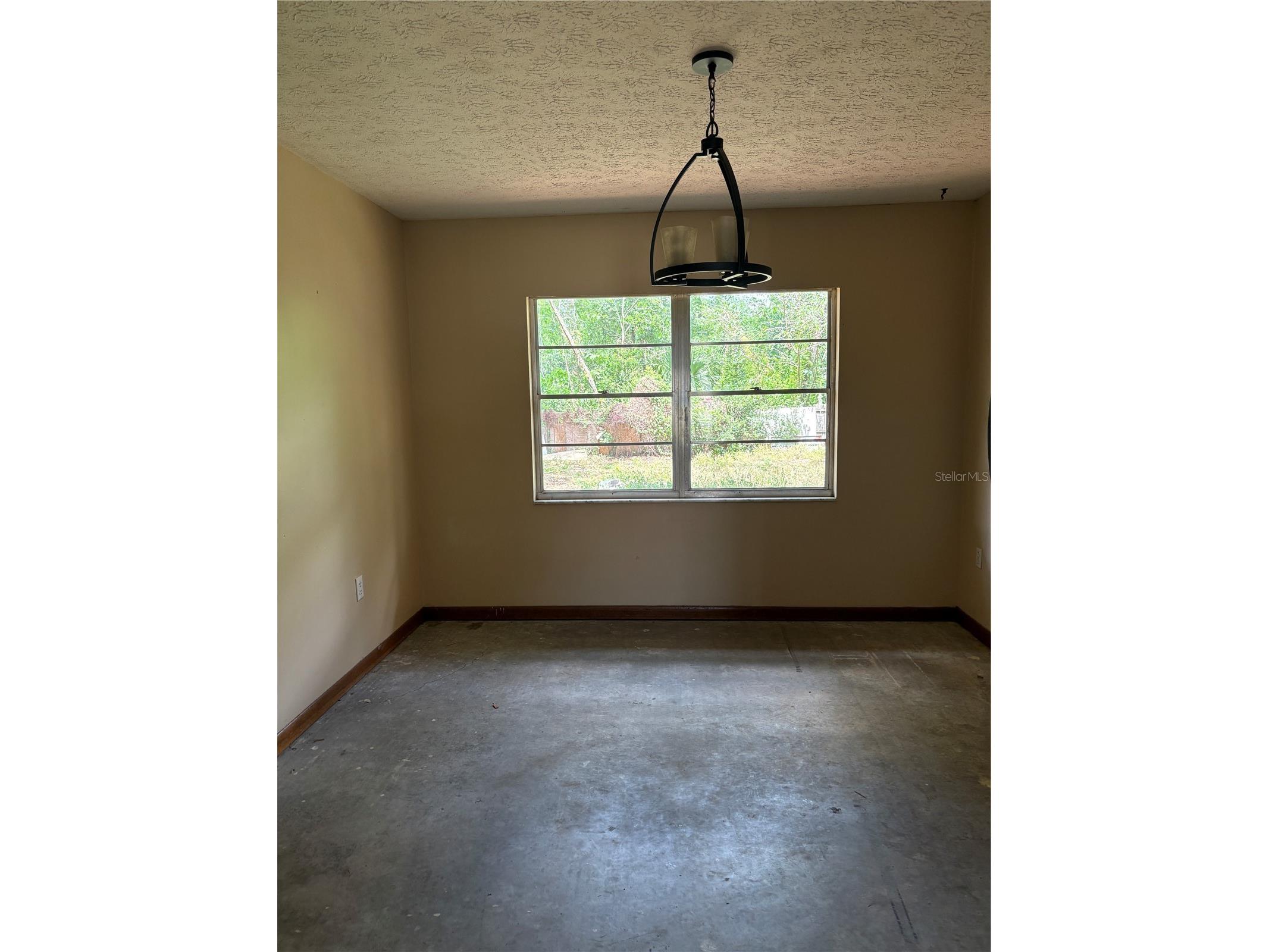 1214 Mitchell Street Brandon FL 33511 TB8502043 image10