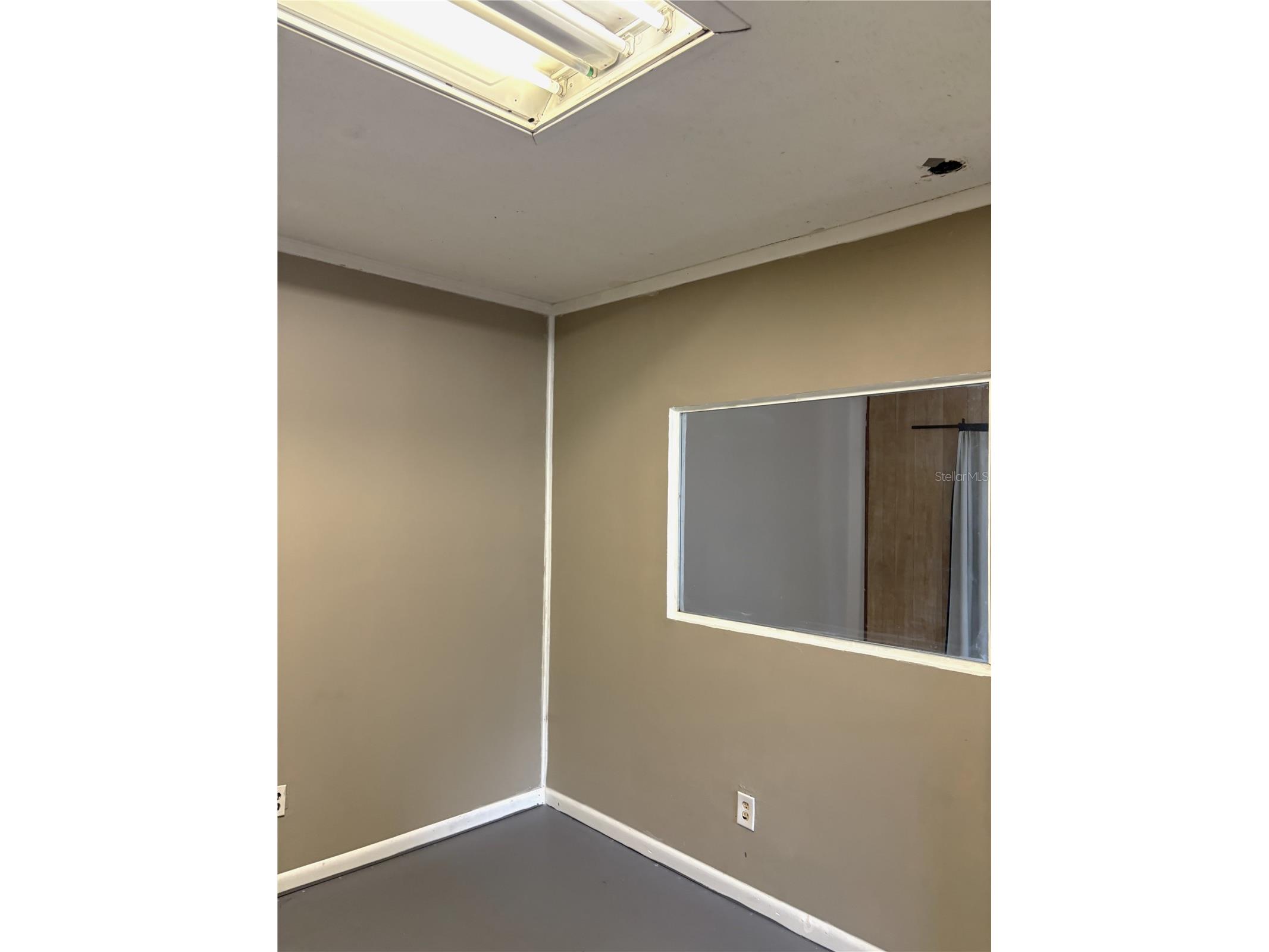 1214 Mitchell Street Brandon FL 33511 TB8502043 image13