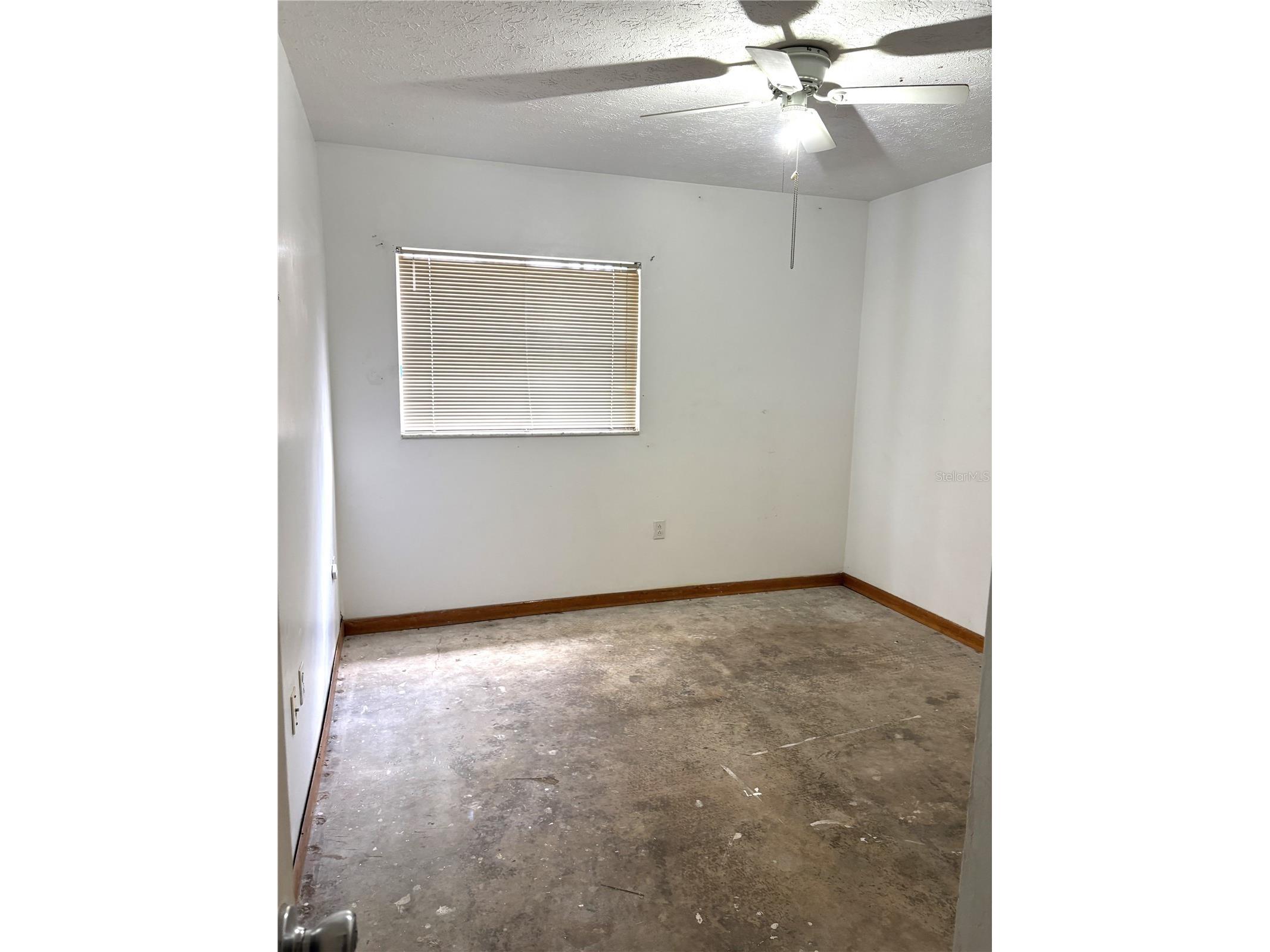 1214 Mitchell Street Brandon FL 33511 TB8502043 image21