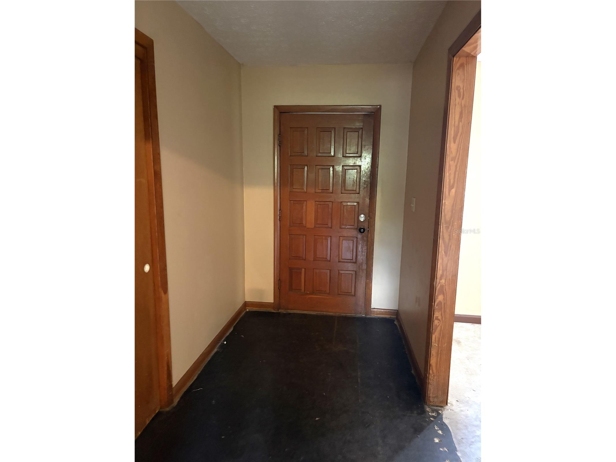 1214 Mitchell Street Brandon FL 33511 TB8502043 image3