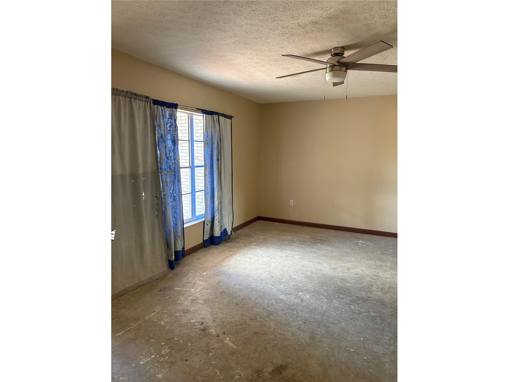 1214 Mitchell Street Brandon FL 33511 TB8502043 image7