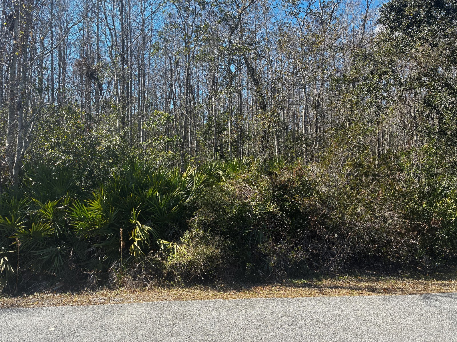 1214 Murdock Boulevard Orlando FL 32825 O6383336 image1