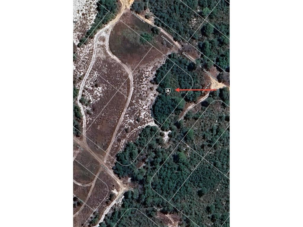 1214 Sandlewood Street Lake Placid FL 33852 O6292819 image1