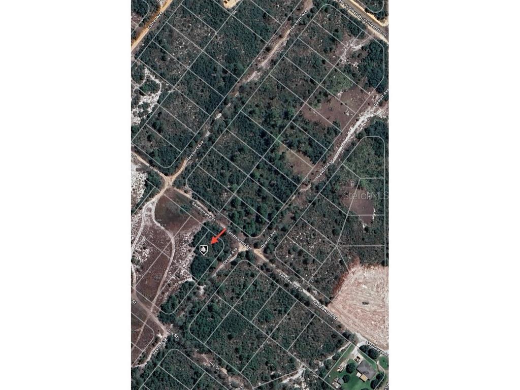 1214 Sandlewood Street Lake Placid FL 33852 O6292819 image2