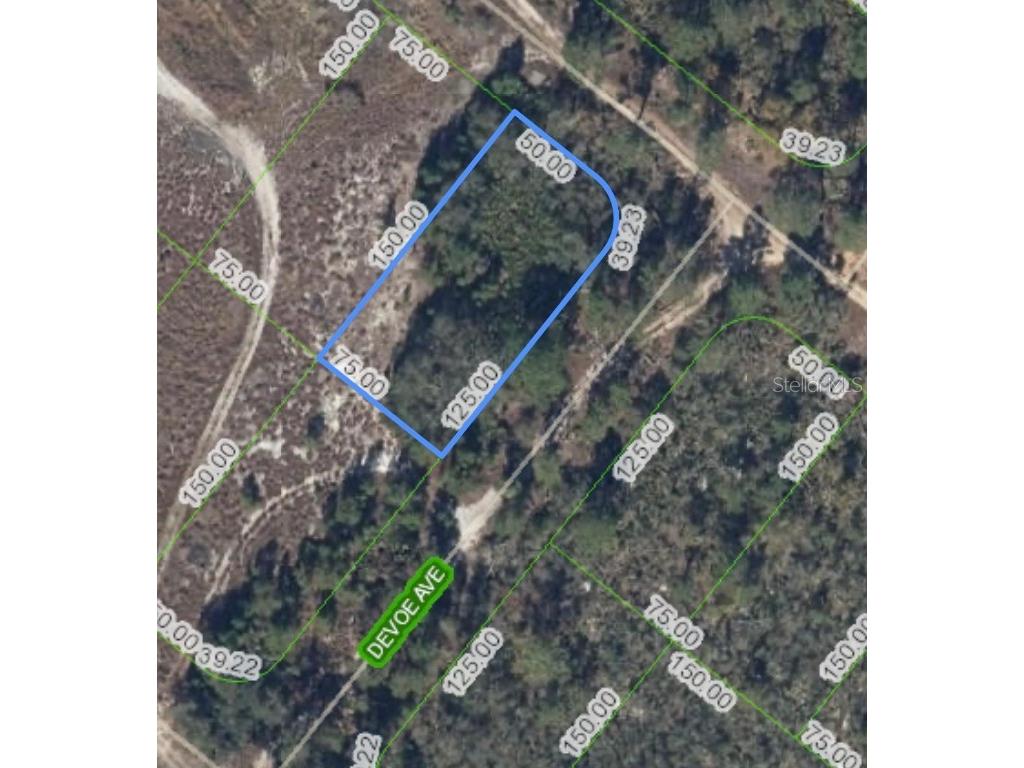 1214 Sandlewood Street Lake Placid FL 33852 O6292819 image6