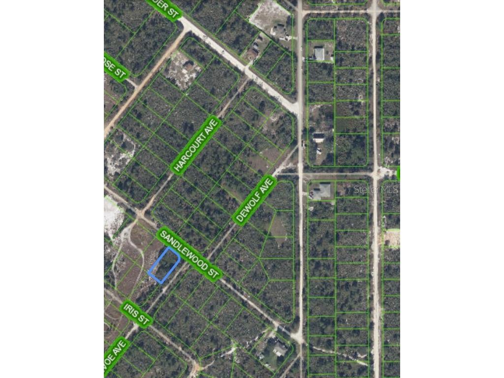 1214 Sandlewood Street Lake Placid FL 33852 O6292819 image7