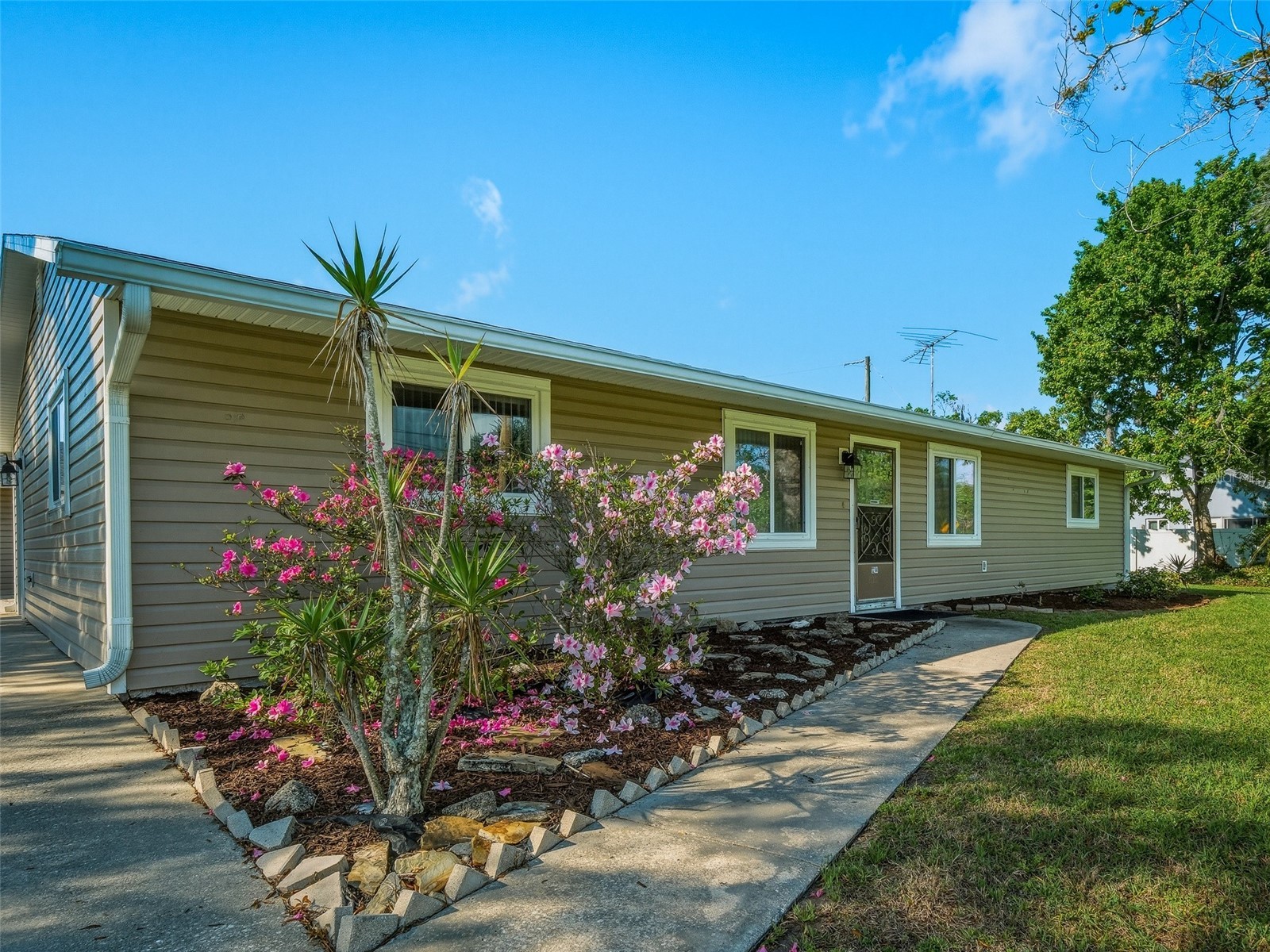 1214 Victory Palm Drive Edgewater FL 32132 NS1087668 image7