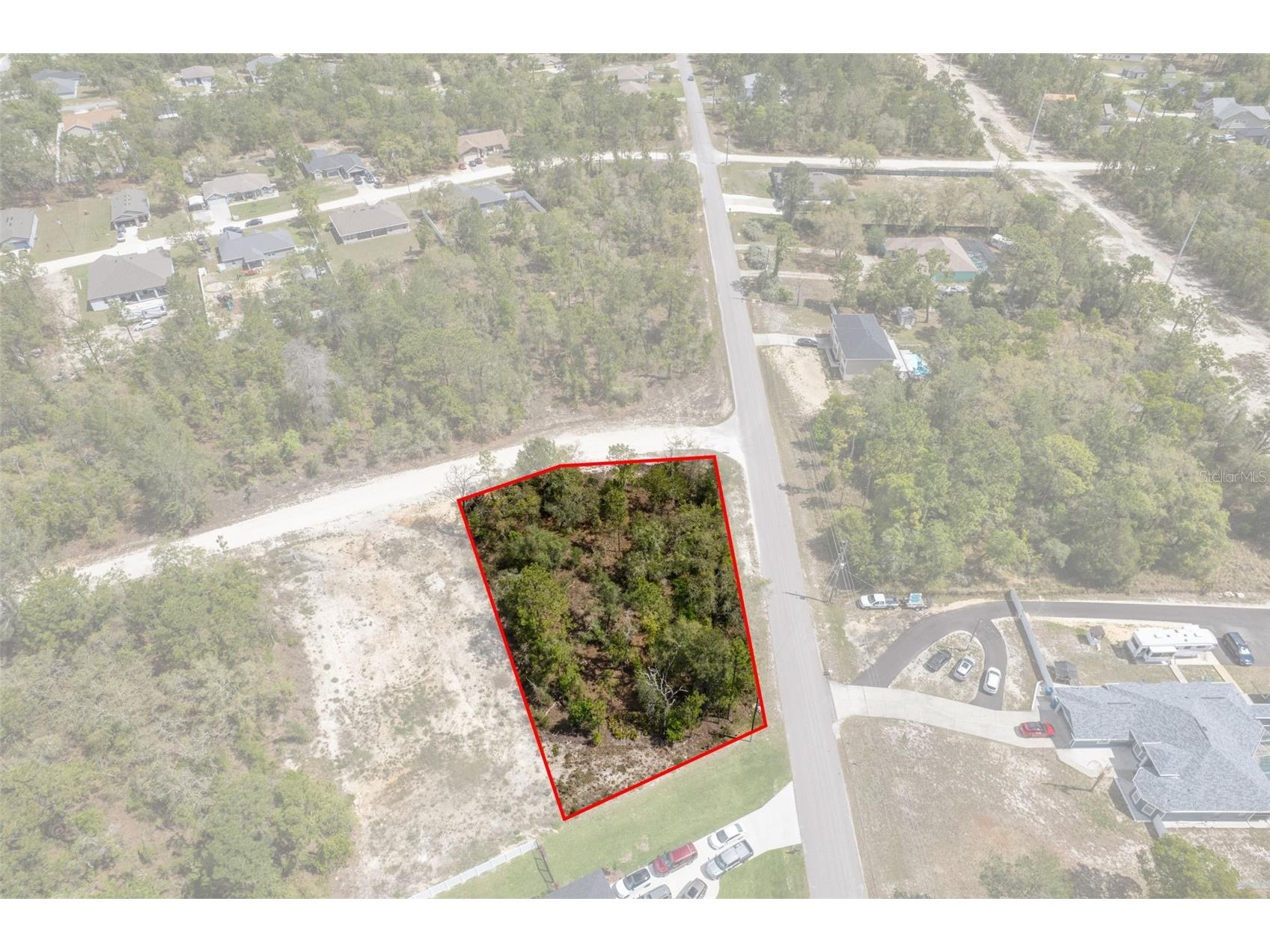 12140 Mississippi Kite Avenue Brooksville FL 34614 W7884611 image10