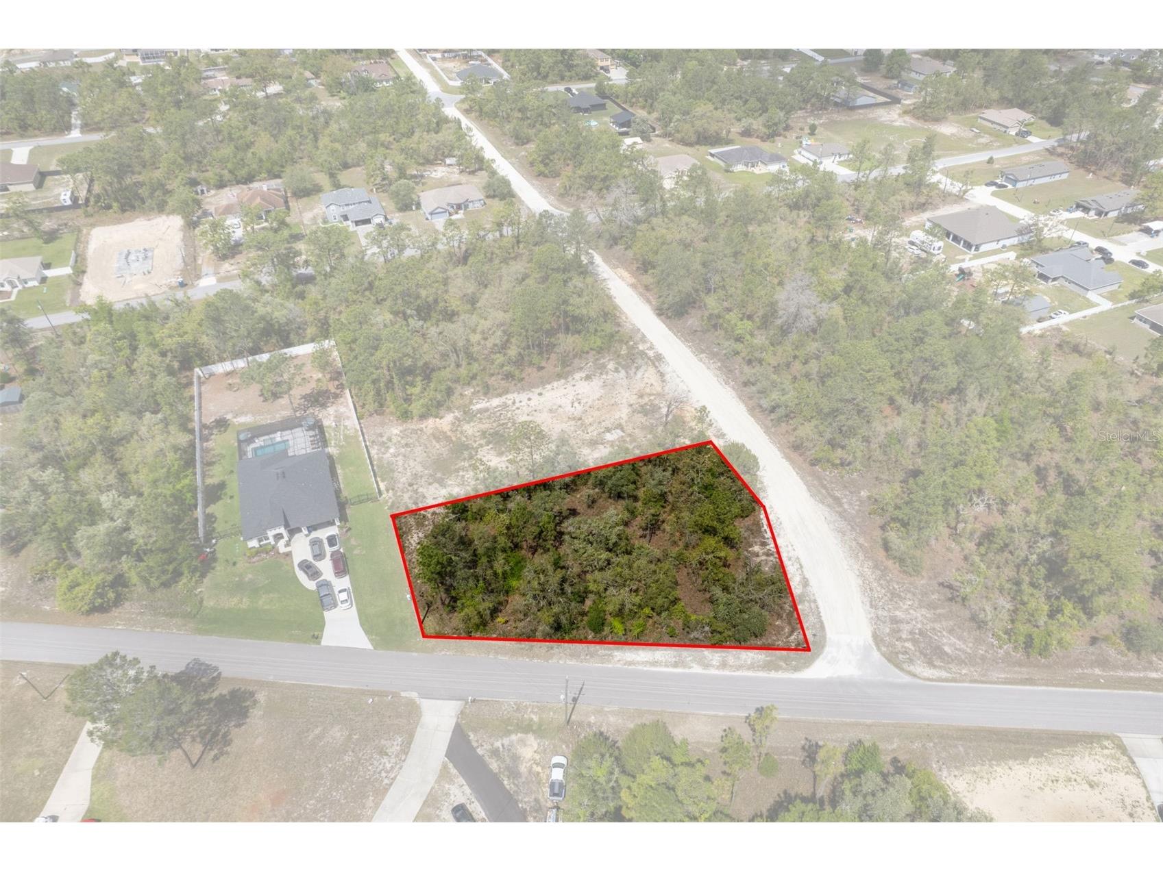 12140 Mississippi Kite Avenue Brooksville FL 34614 W7884611 image7