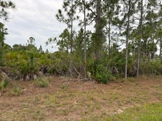 12141 Mc Elroy Avenue Port Charlotte FL 33981 C7526849 image1